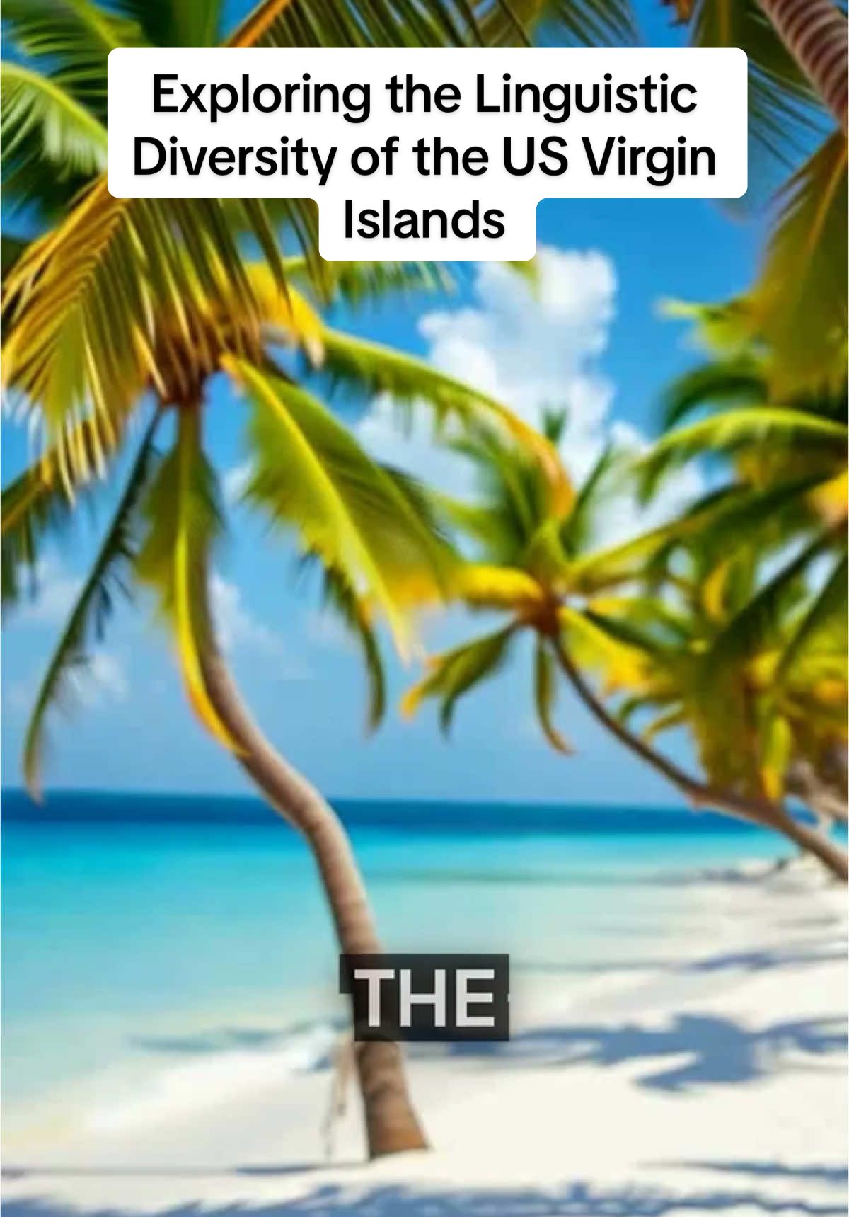 @caribbean_chronicles