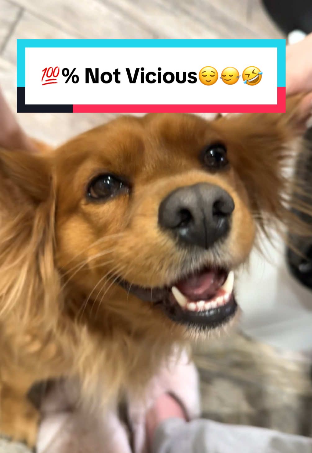 @Jackie ๐