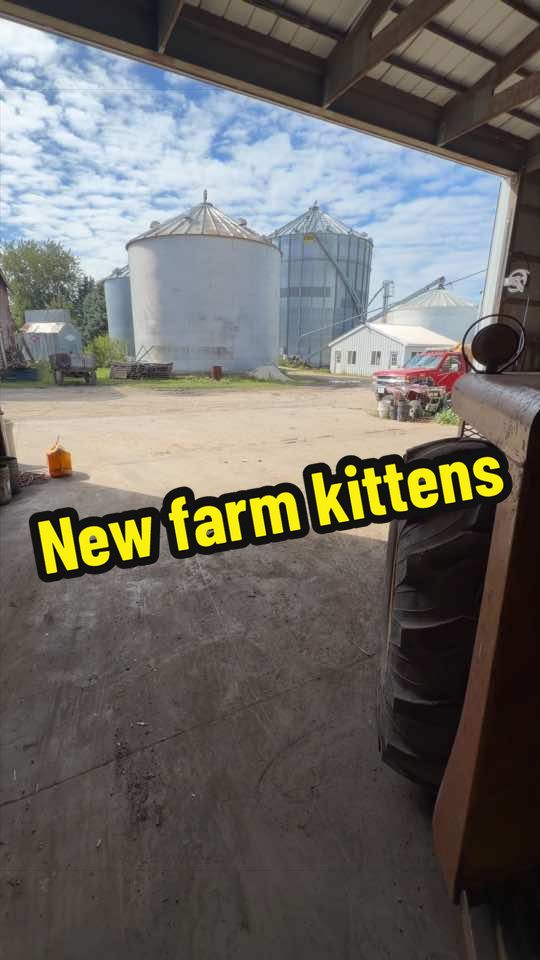 @Farmer Brando