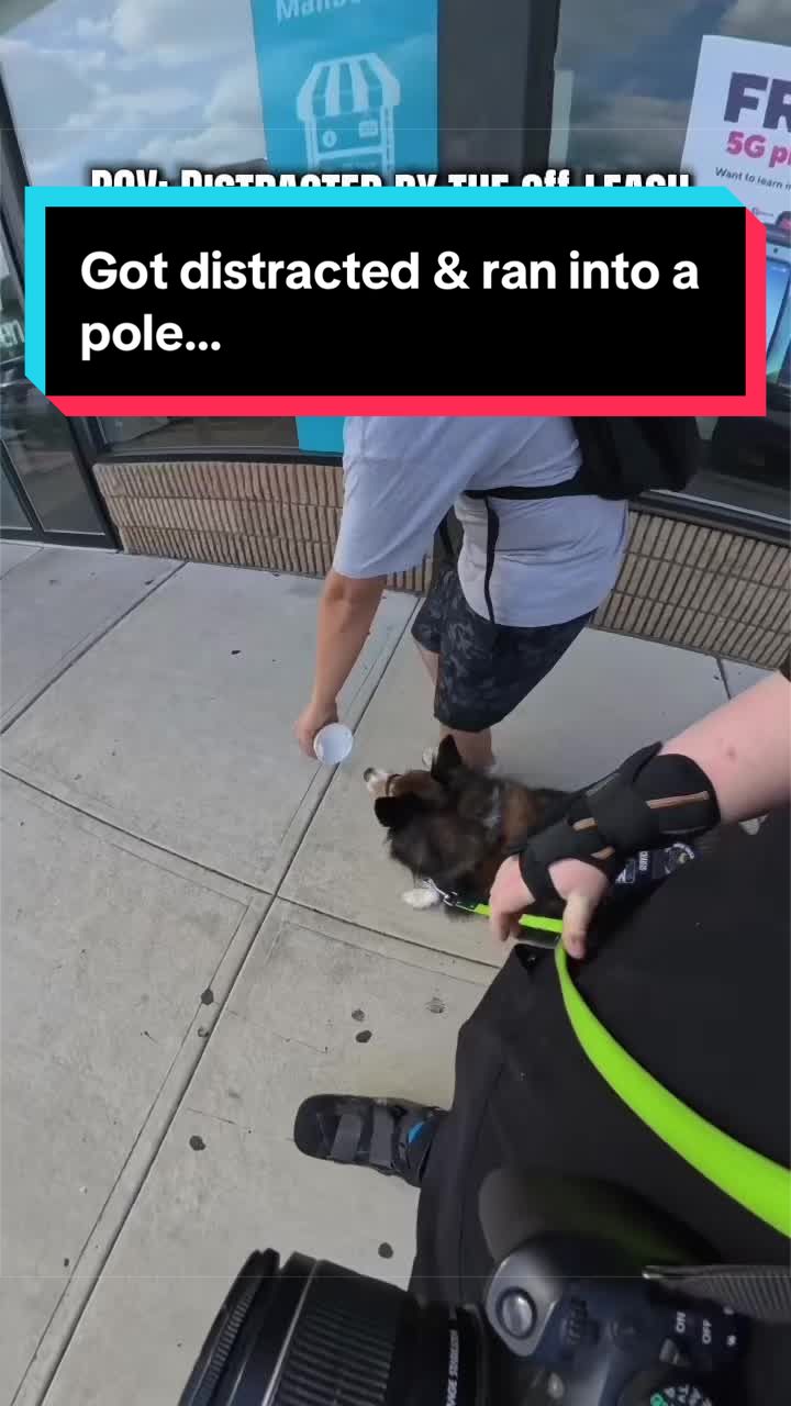 @Dakota & Pups
