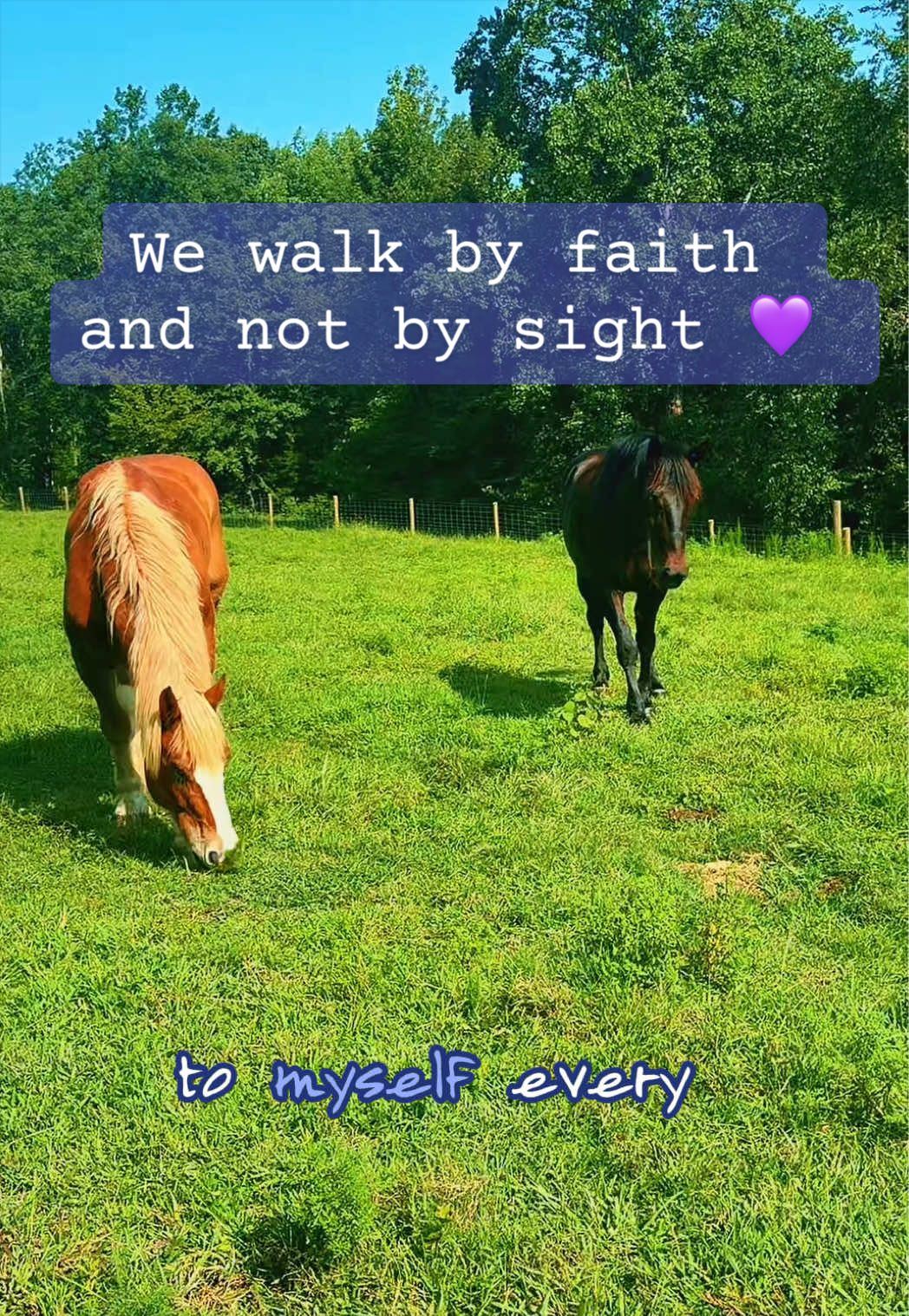 @Our Simple Homestead