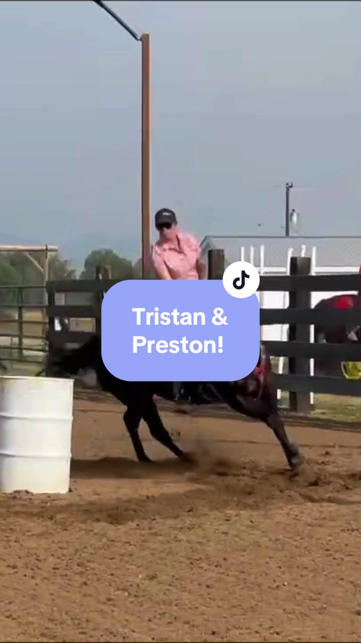 @Supercharge Performance Horses