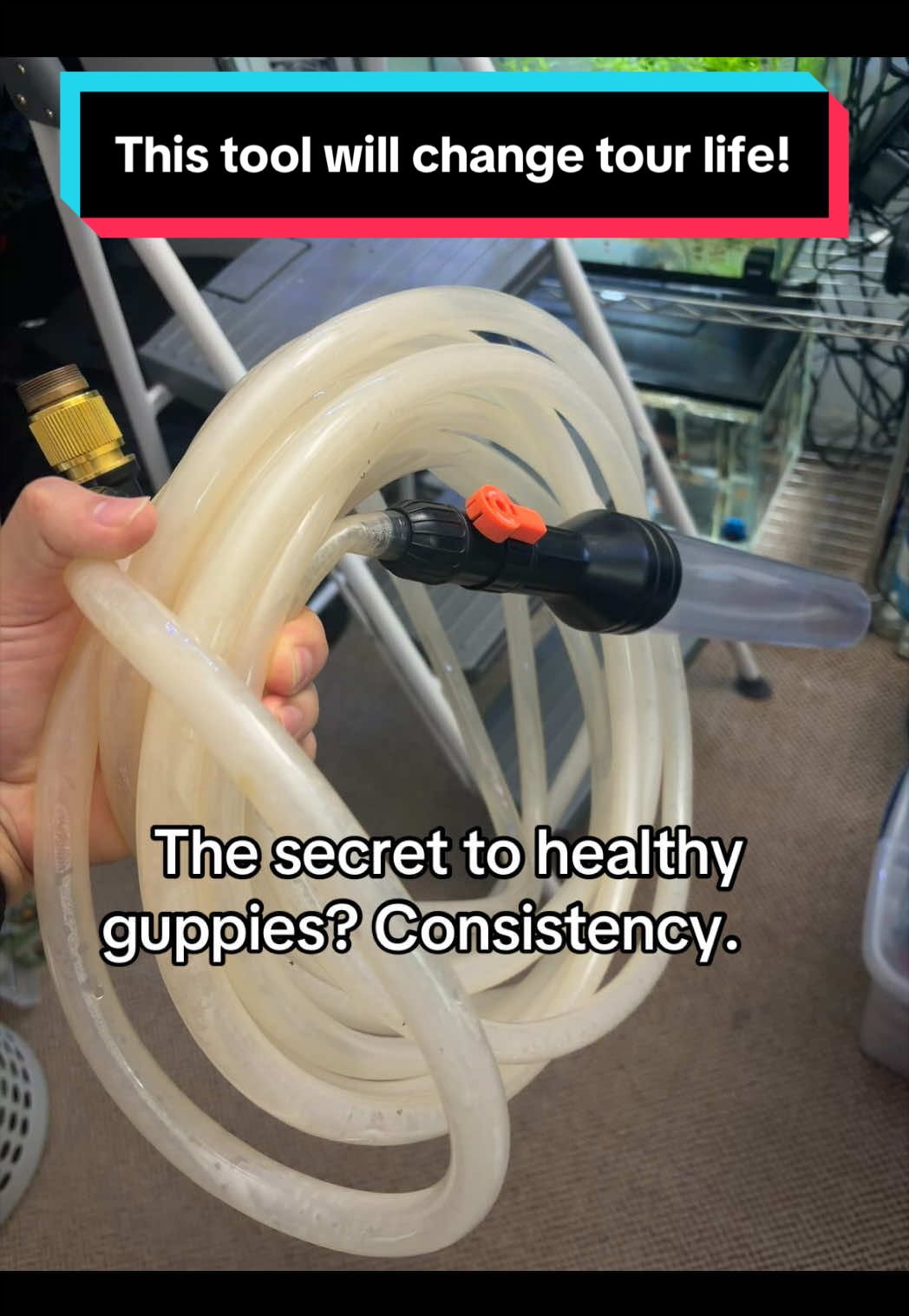 @eastcoastguppy