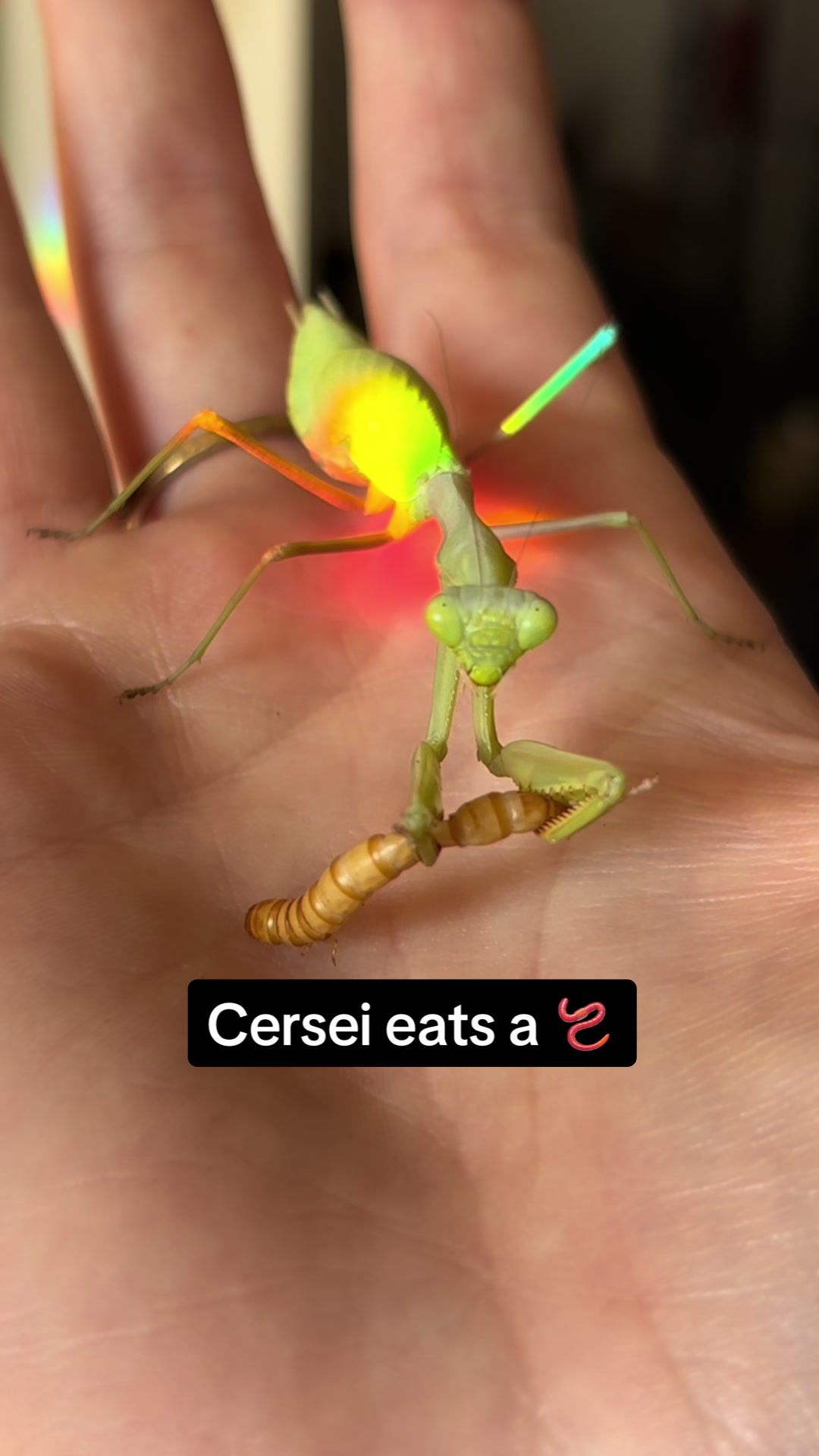 @Mythic Mantis