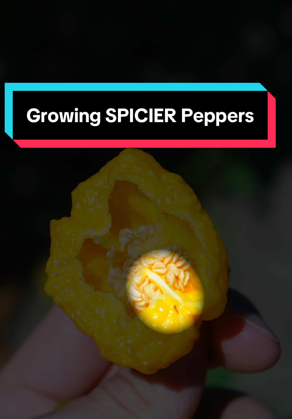 @Geeky Greenhouse / Pepper Geek