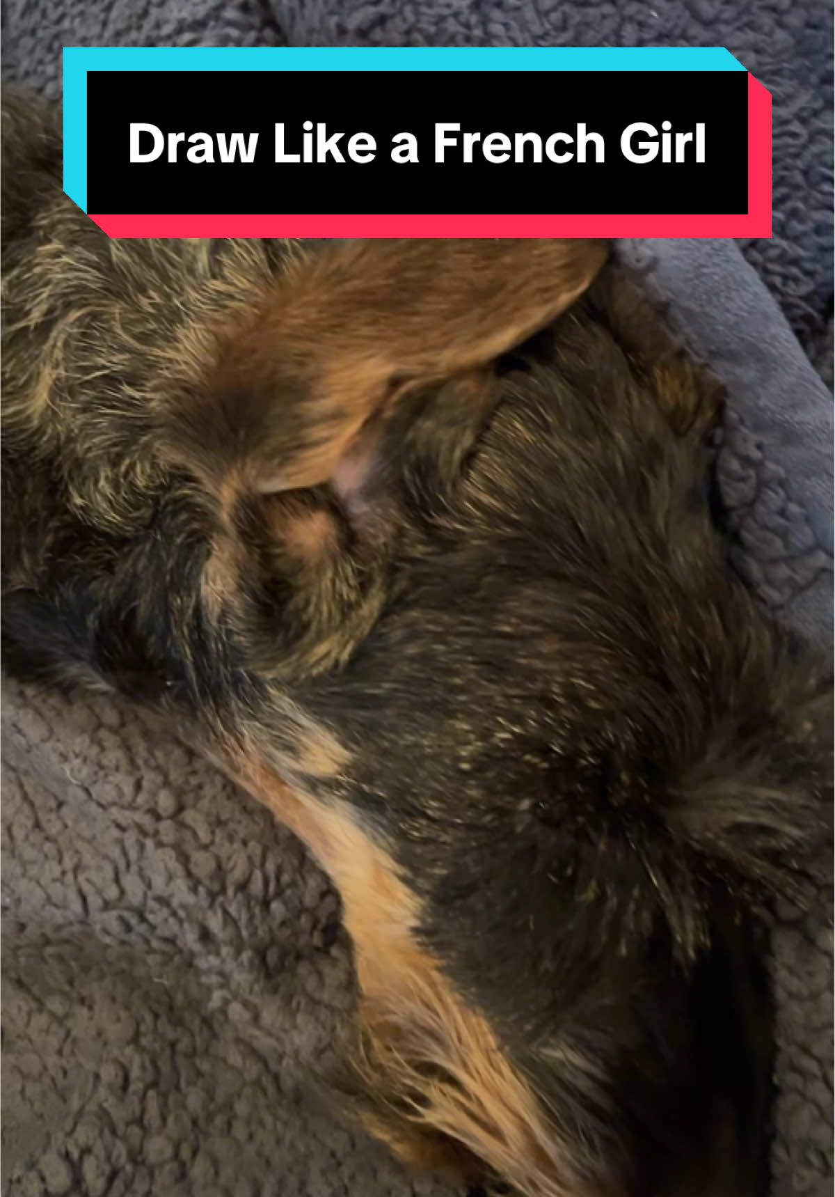 @dr.adam_christman_Veterinarian