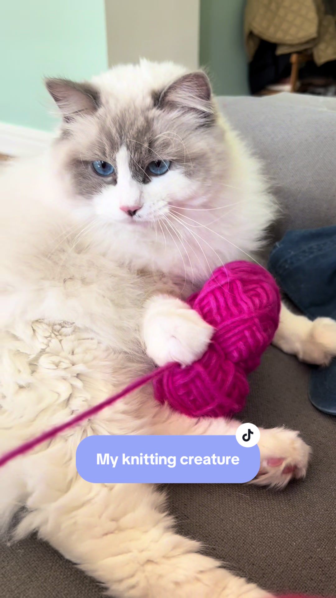 @stitchnbitchco