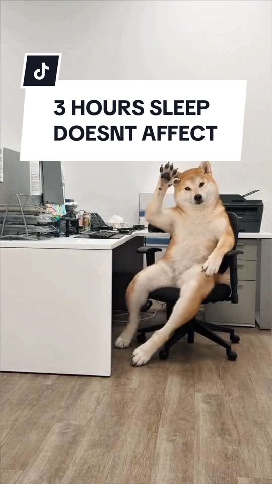 @SILLYBALOO