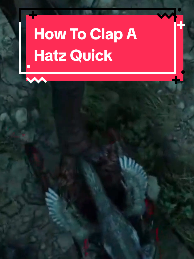 @Anti_Rhaye