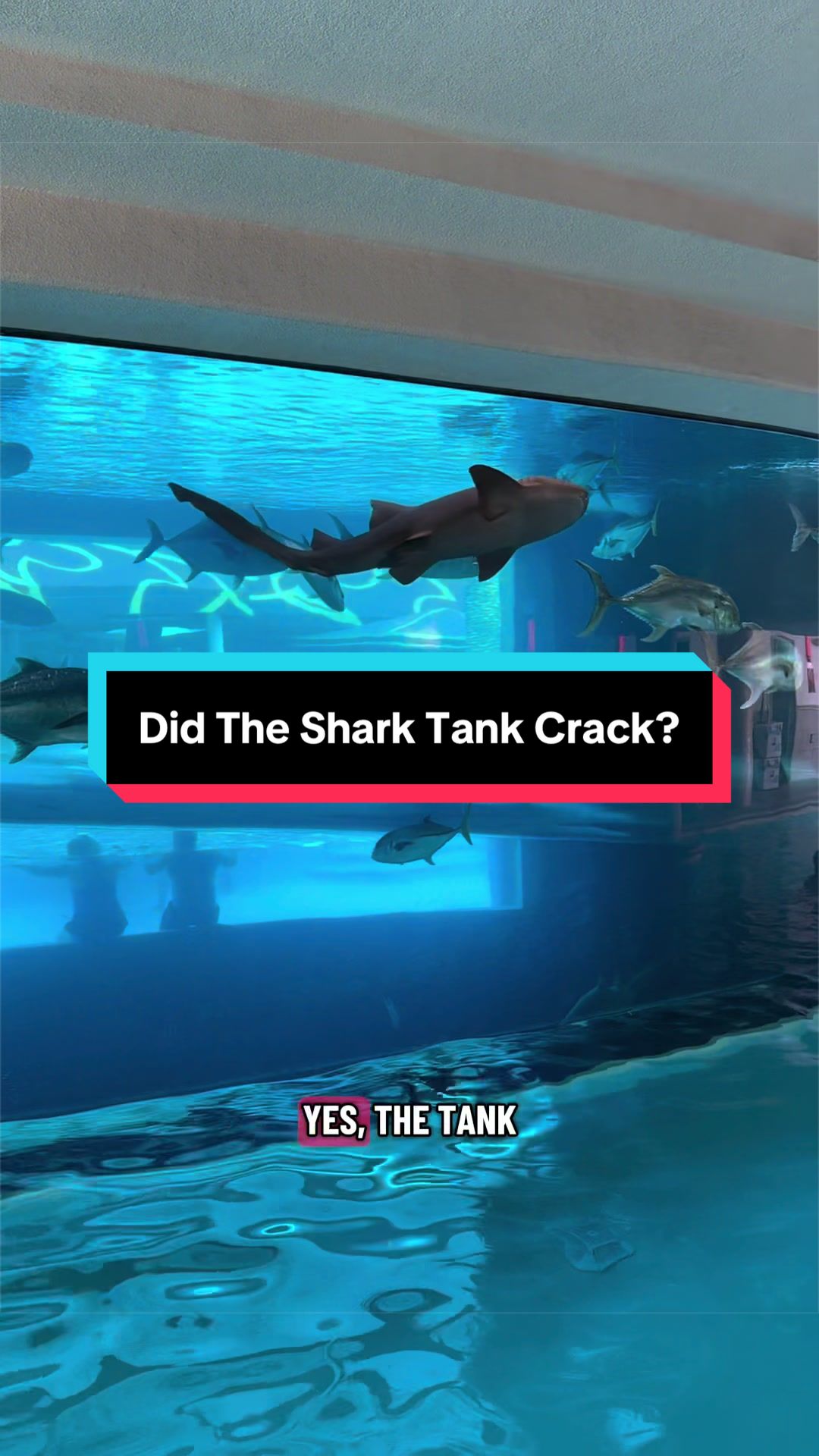 @VegasStarfish
