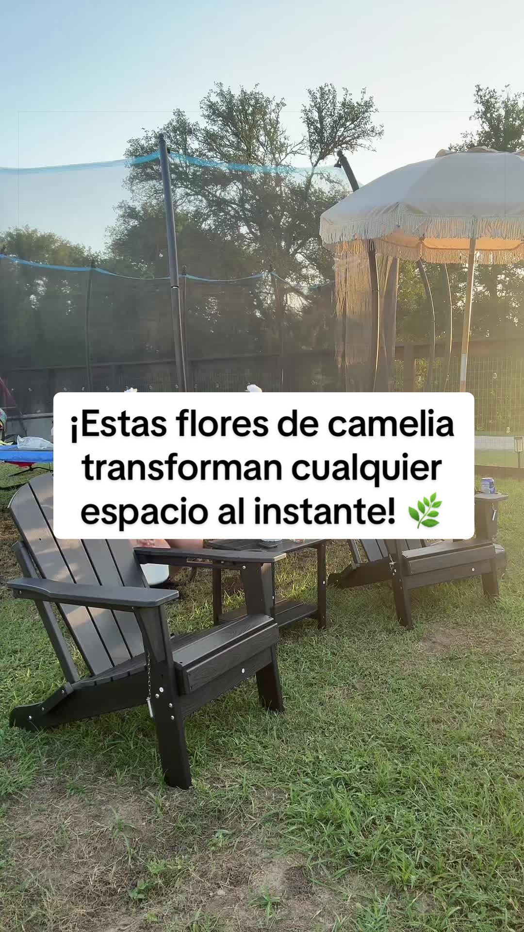 @mary