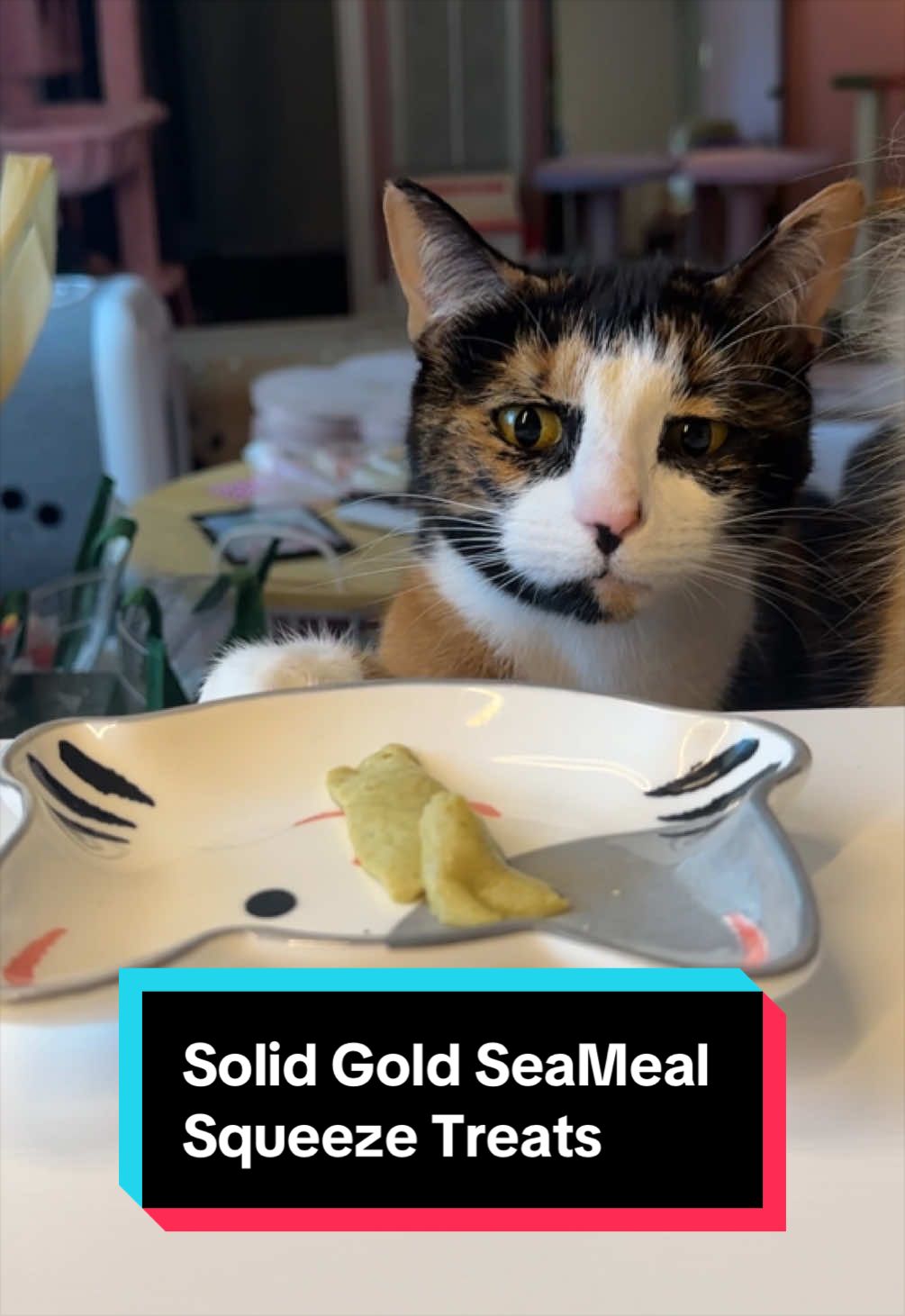 @meloncreamcat