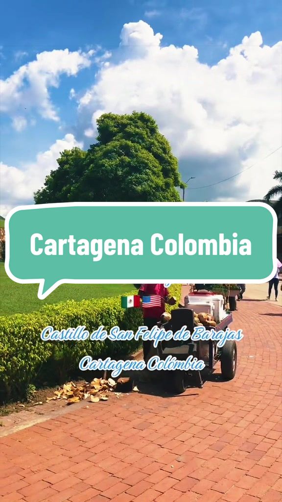 @caballeroviajero0317