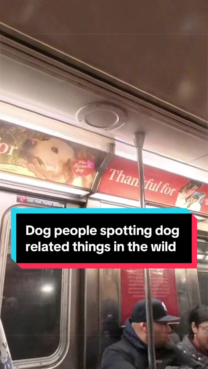 @Dakota & Pups
