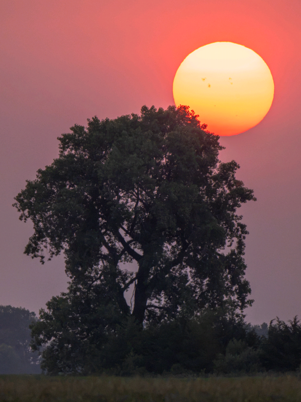 @Aaron Groen