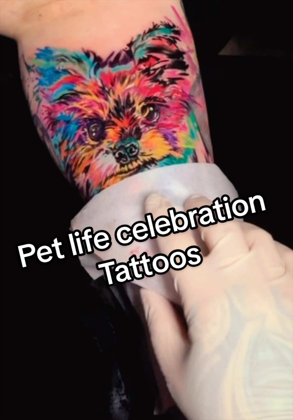 @The Real Shadowink