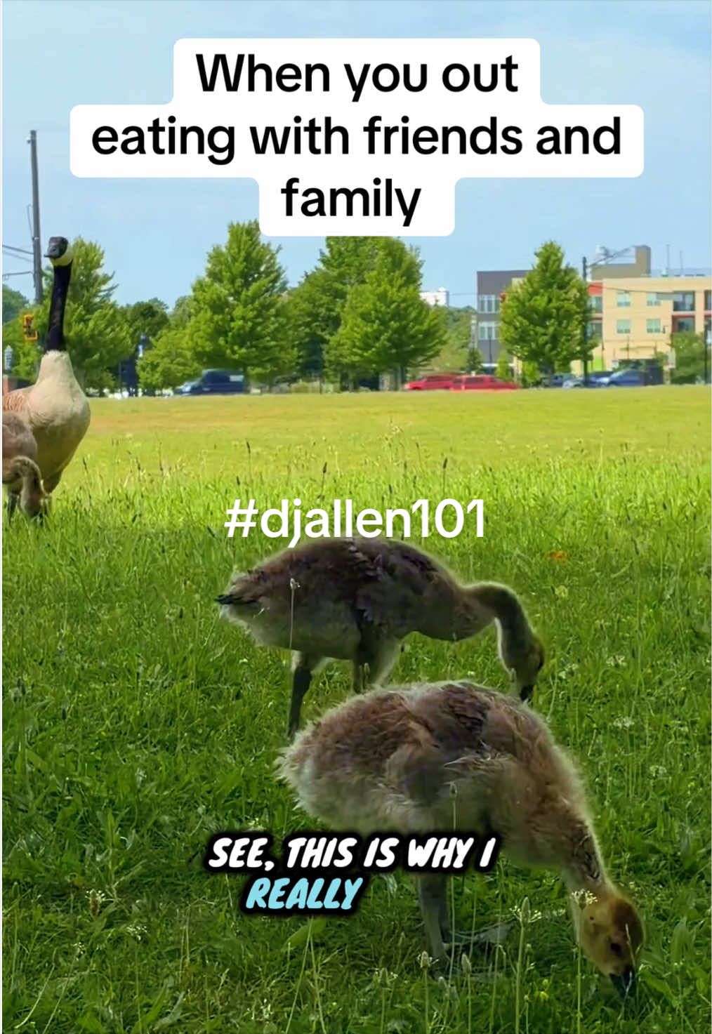 @Dj. Allen