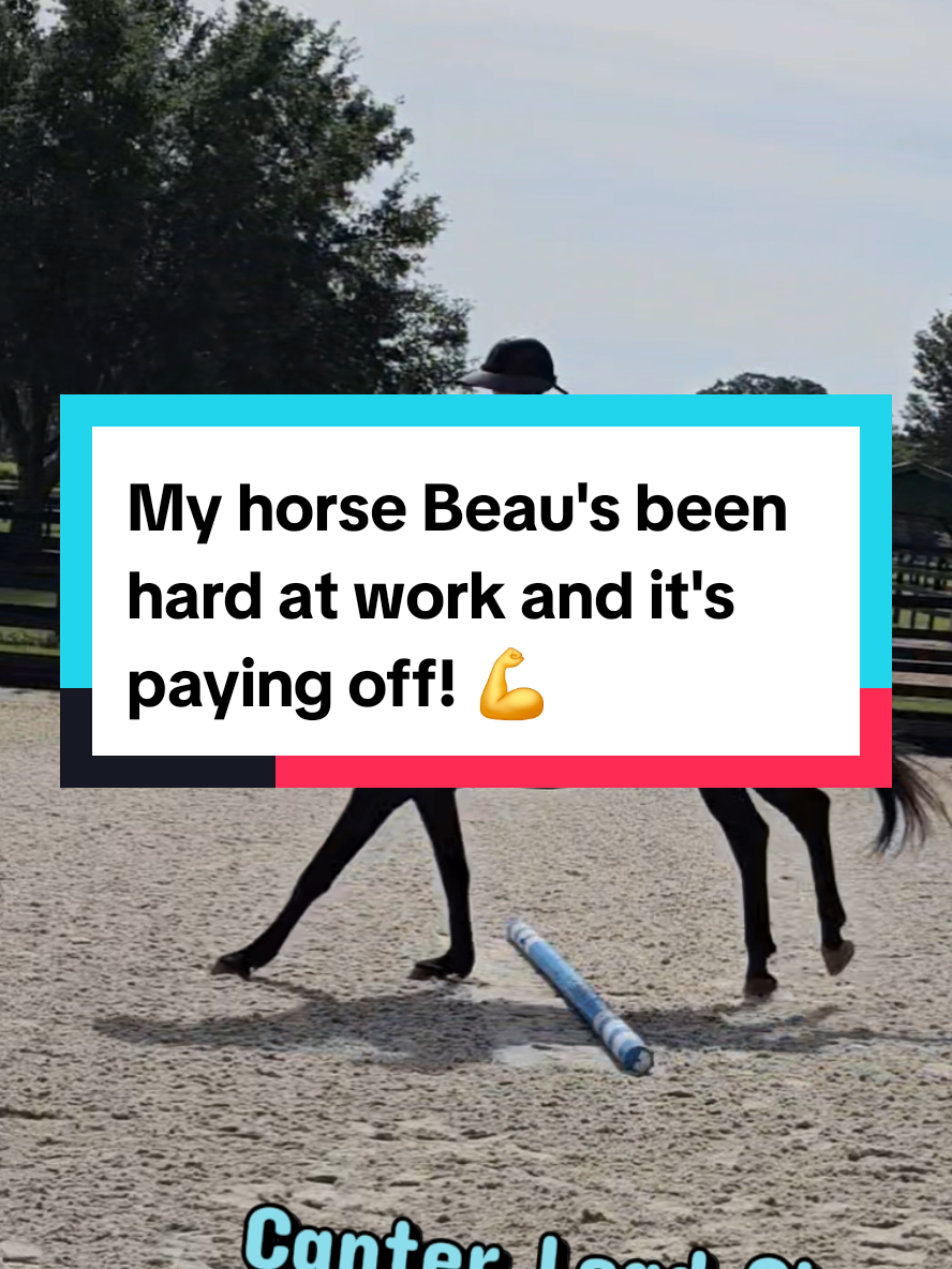 @Beau