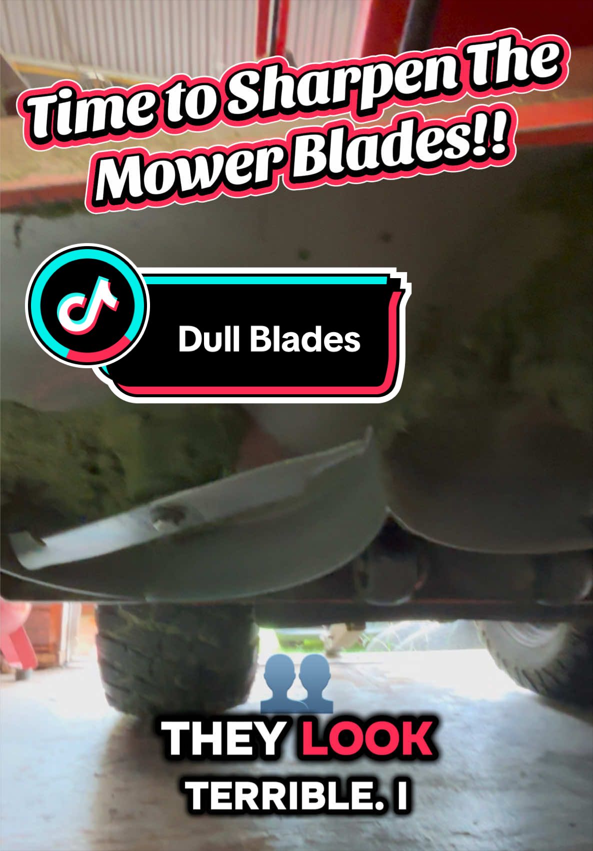 @MrLawnGuy