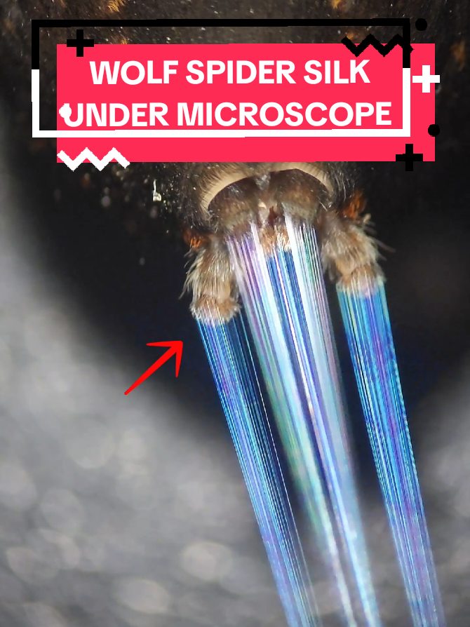 @Micro Man