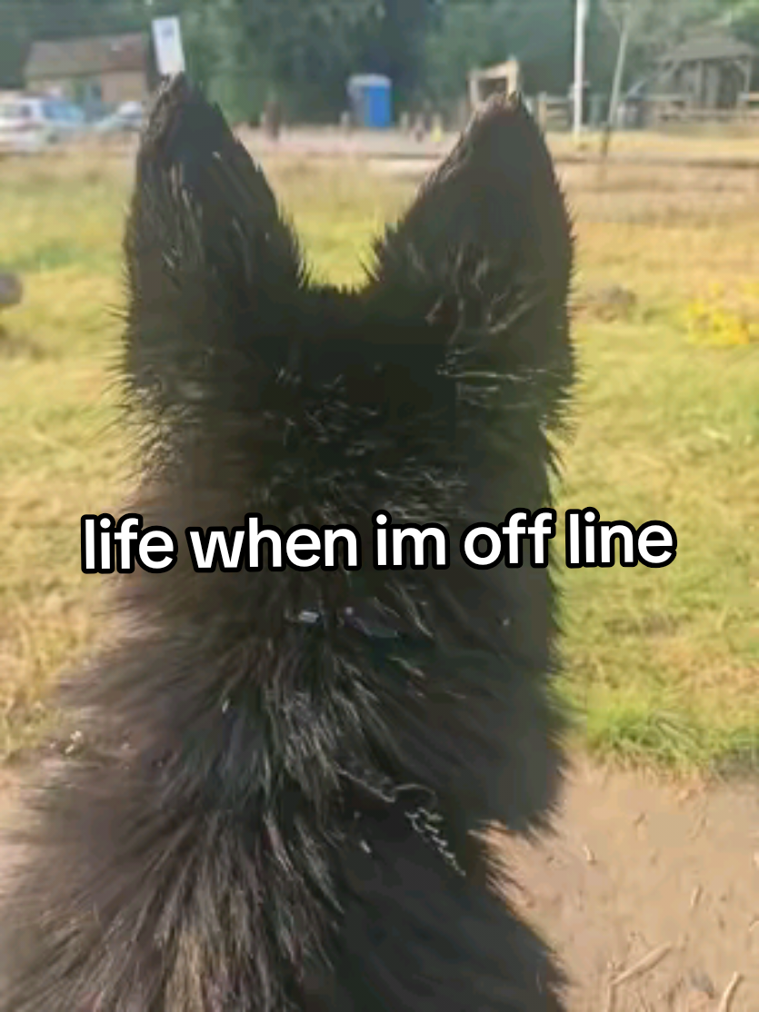 @Jen