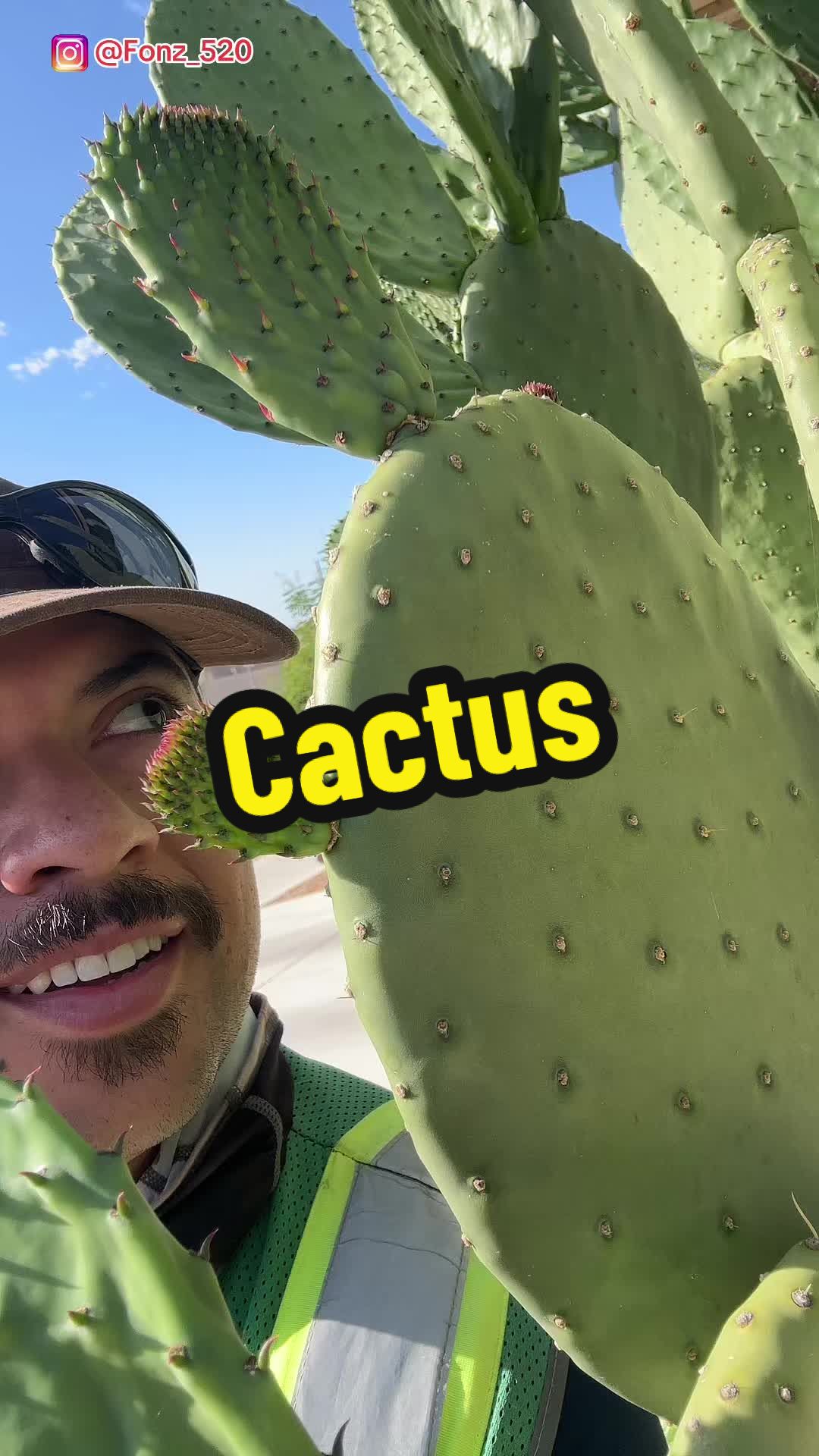 @Fonztradamus