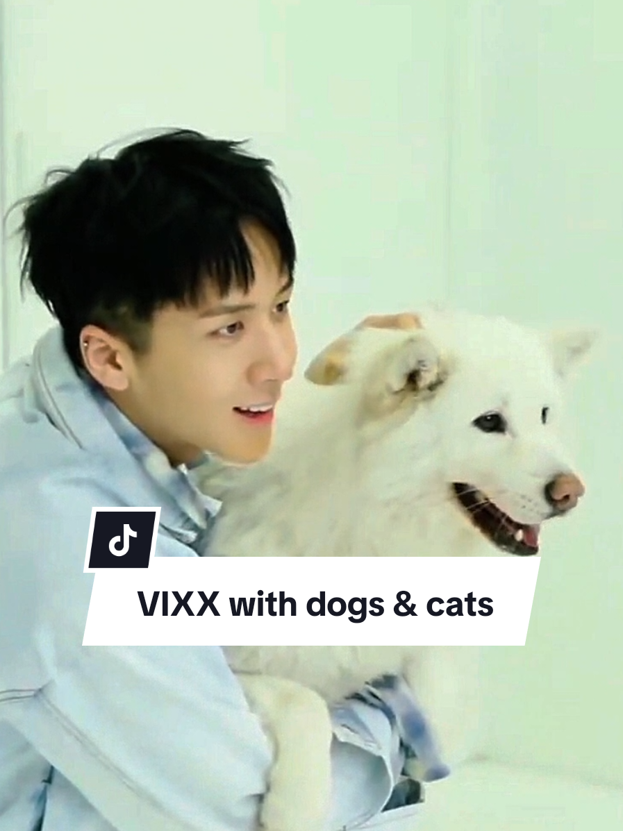 @CaroVIXX | a fan account