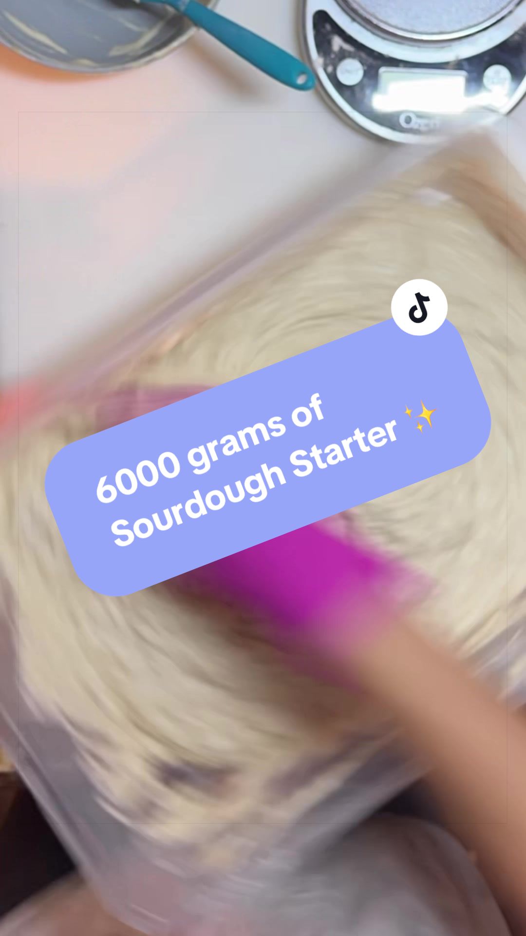 @Marissa | Schoolhouse Snack Co