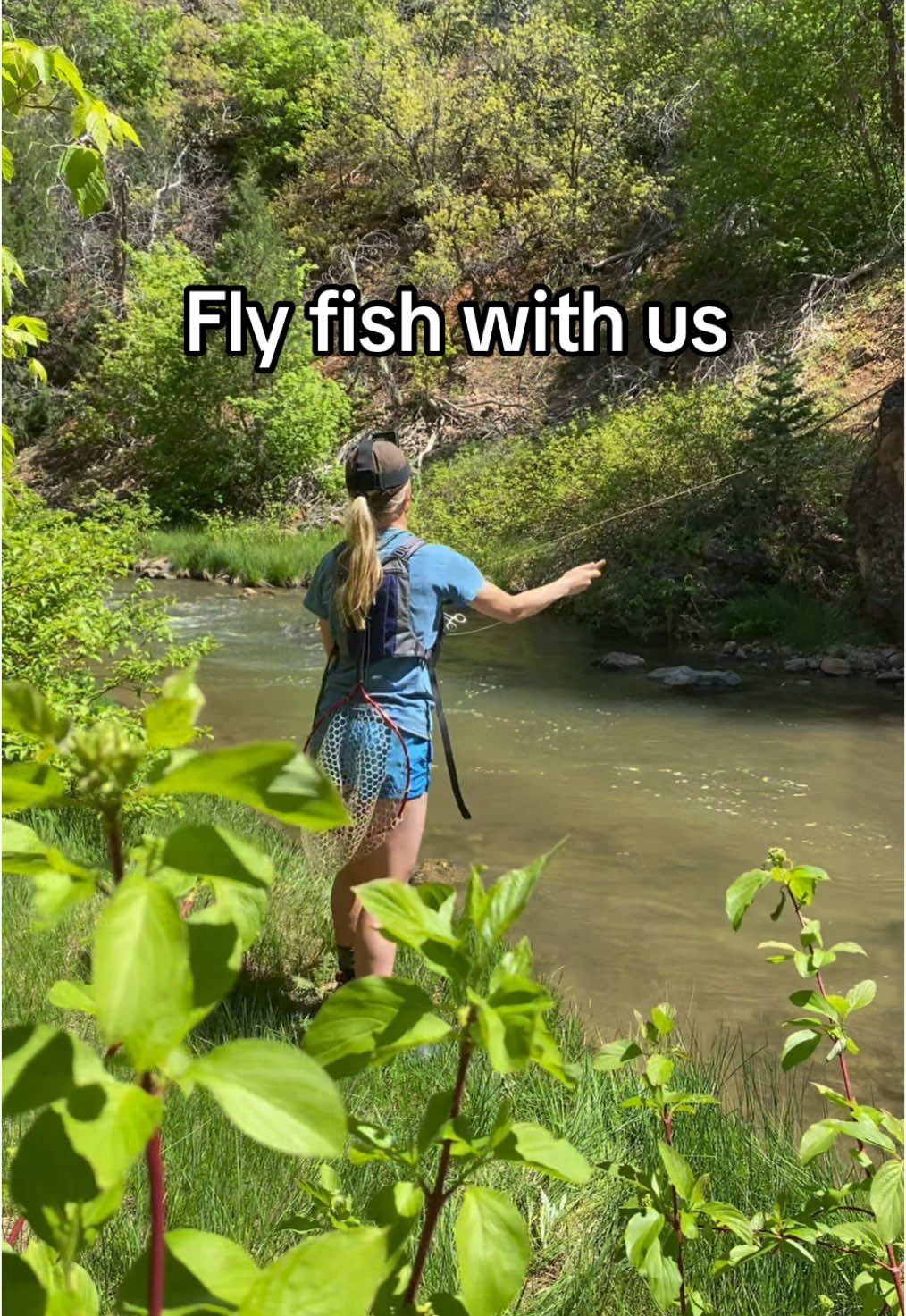@Jodi Larson