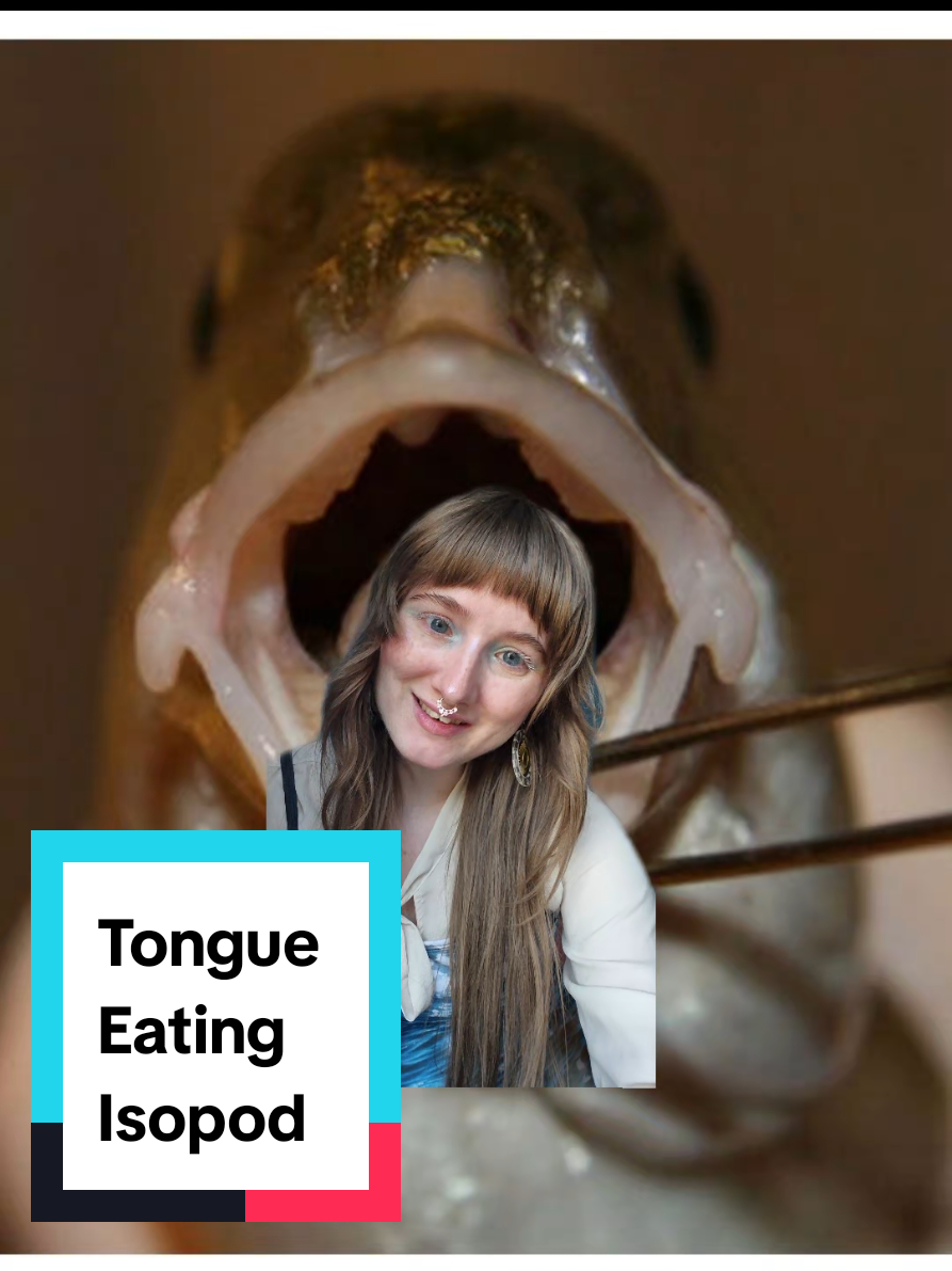 @Brooke Fitzwater, PhD