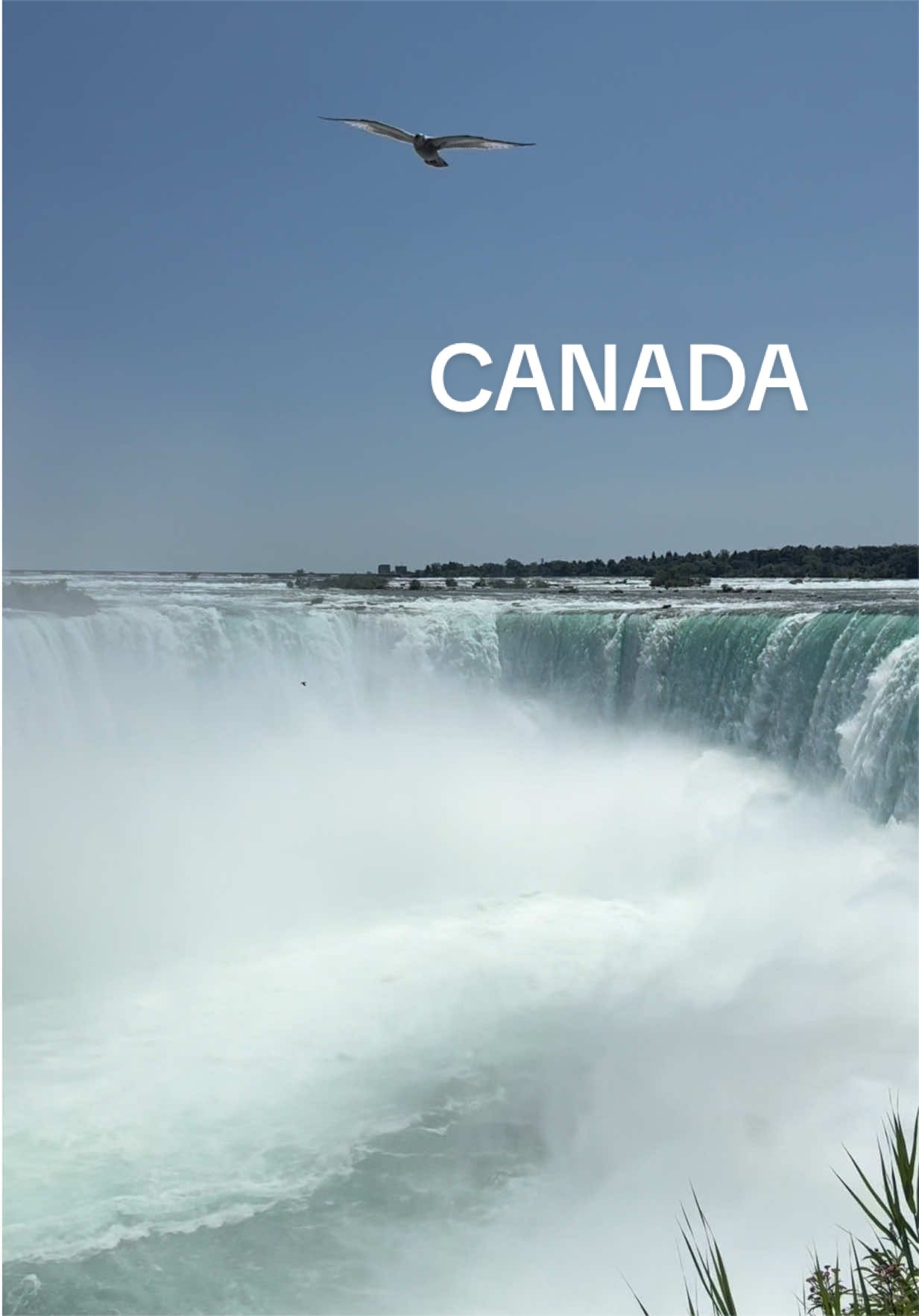 @victoria ☼