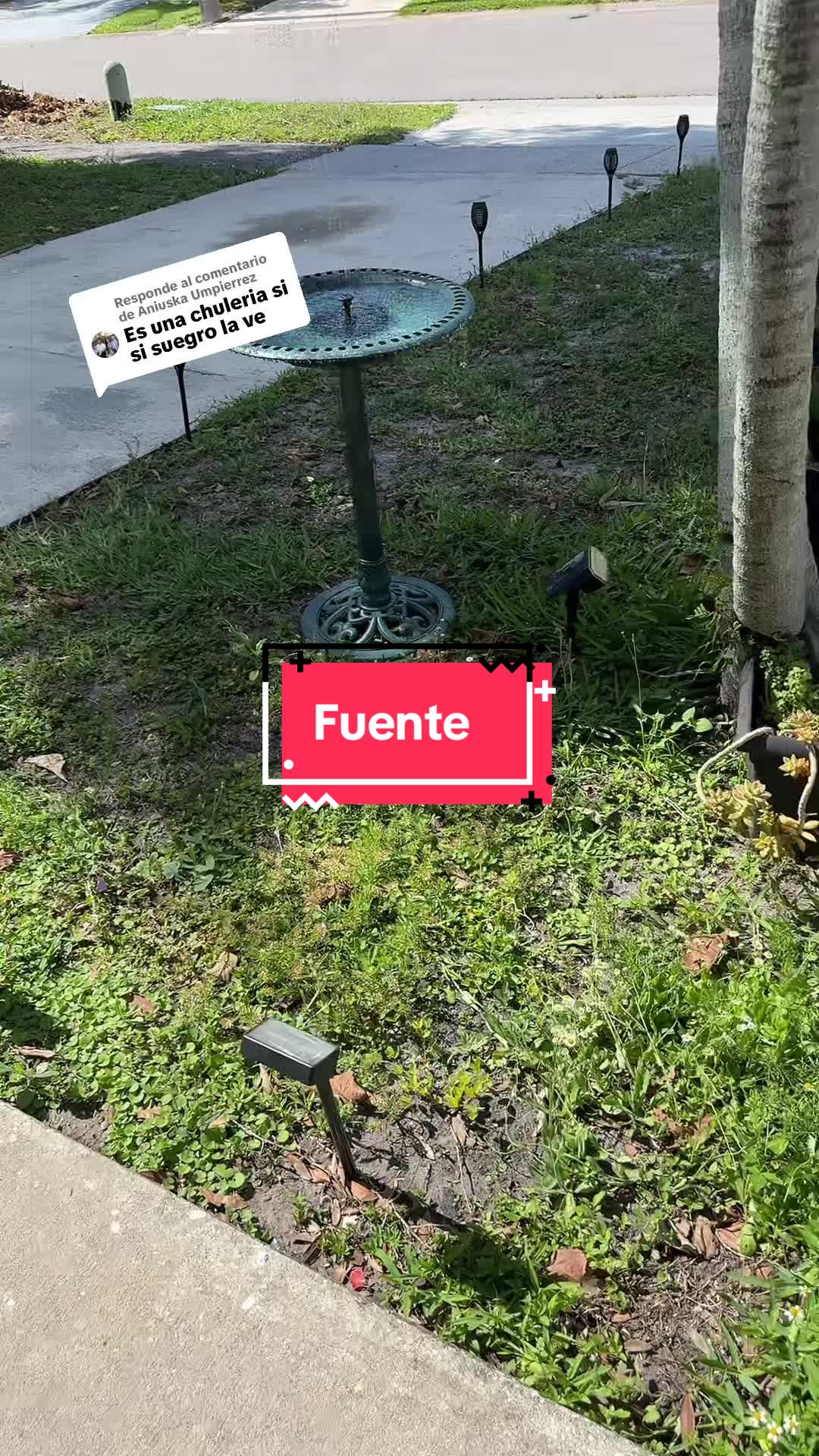 @Leivy Torres