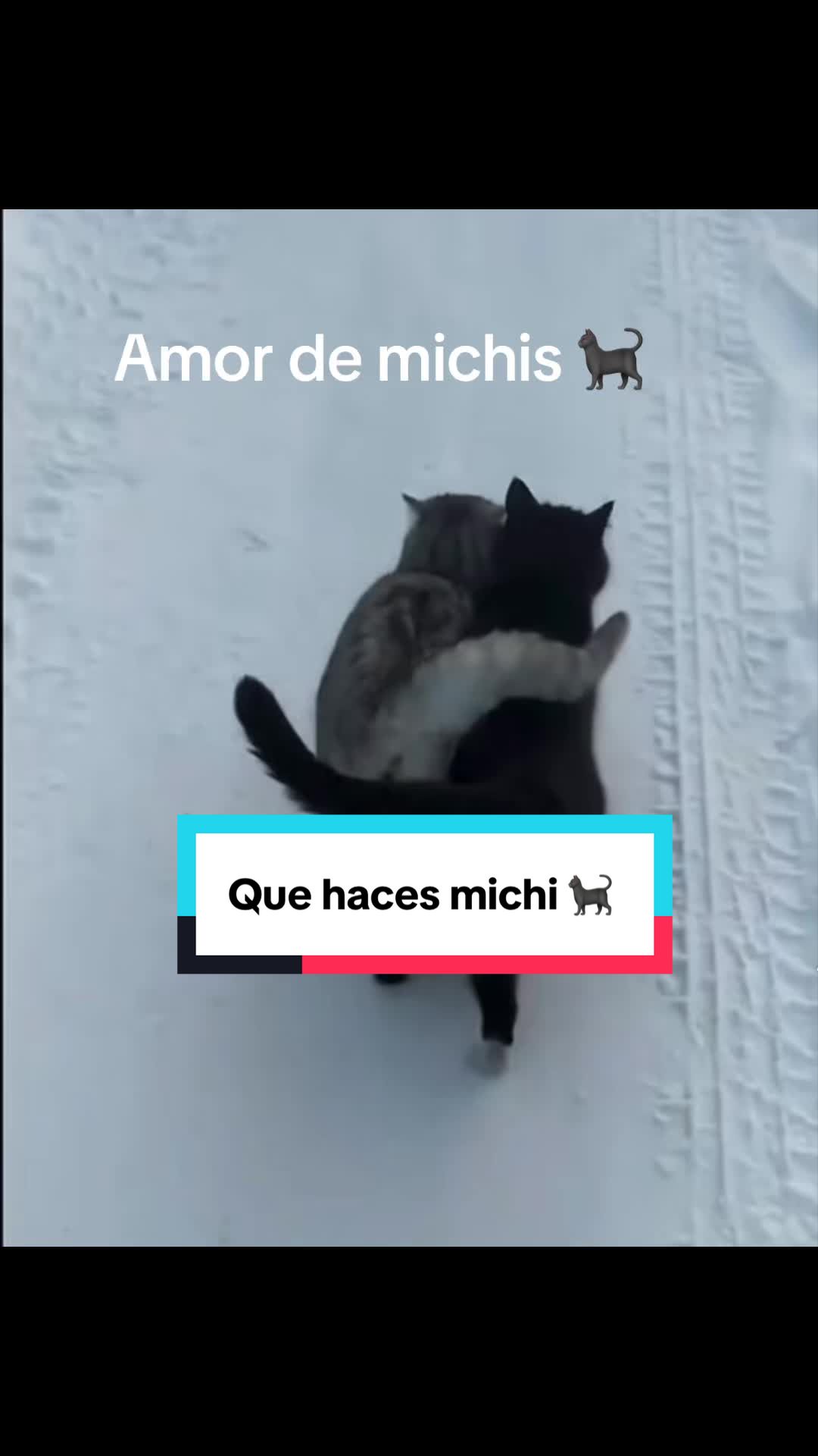 @De todo