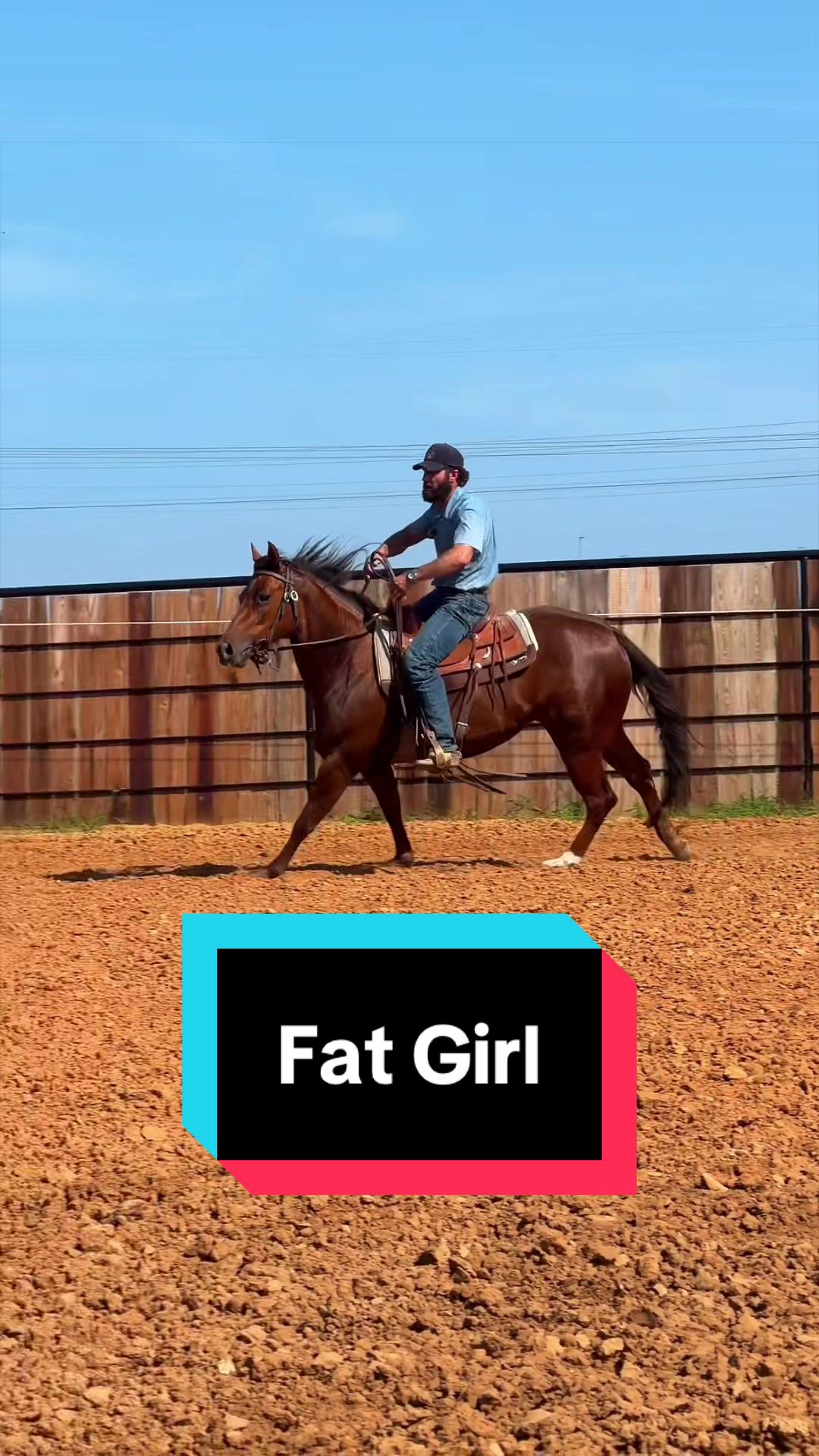 @WS Horses