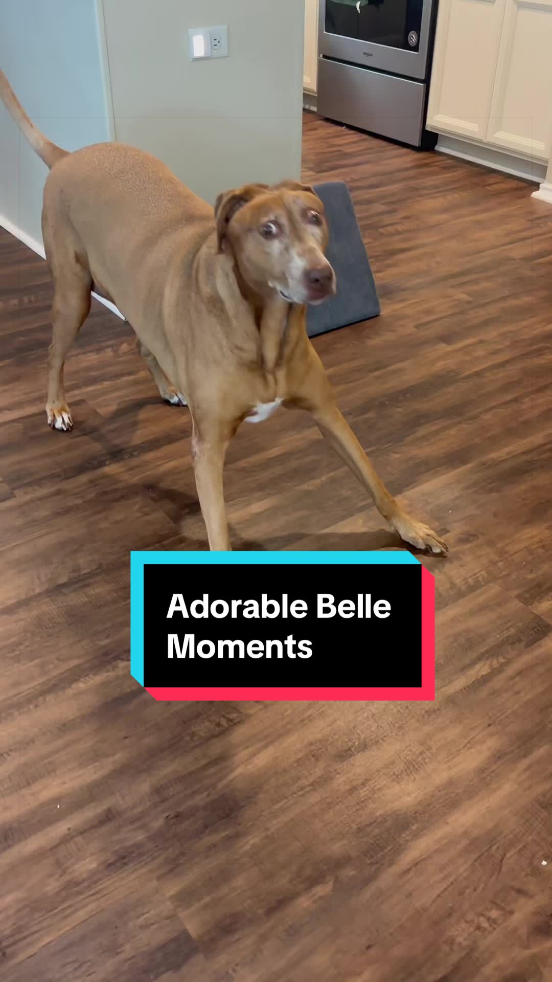 @Belle O’Neill
