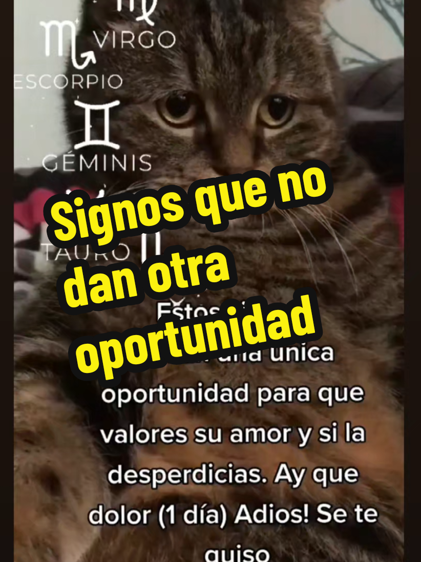 @SanLuzBell