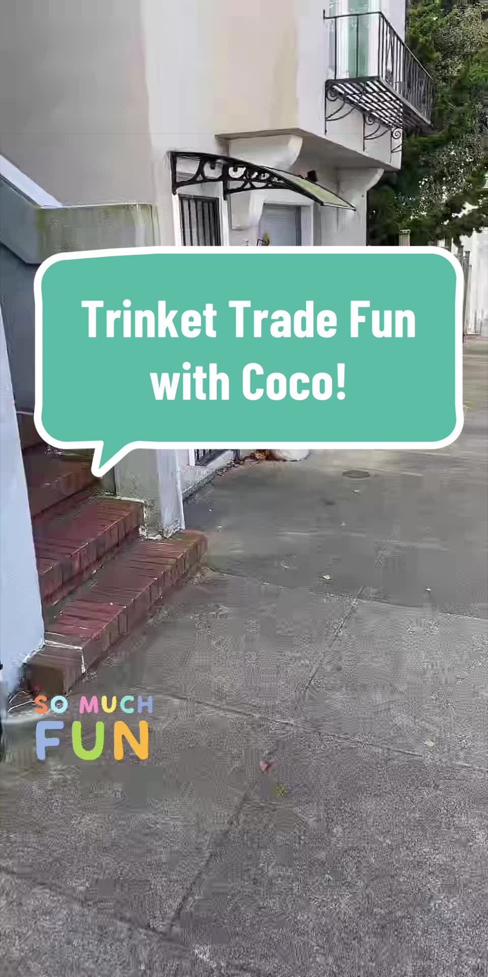 @Coco_puppysf