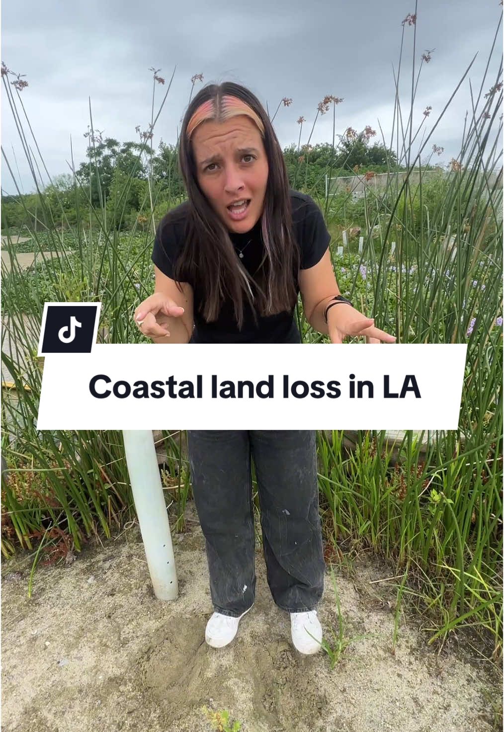 @glassgrrrl