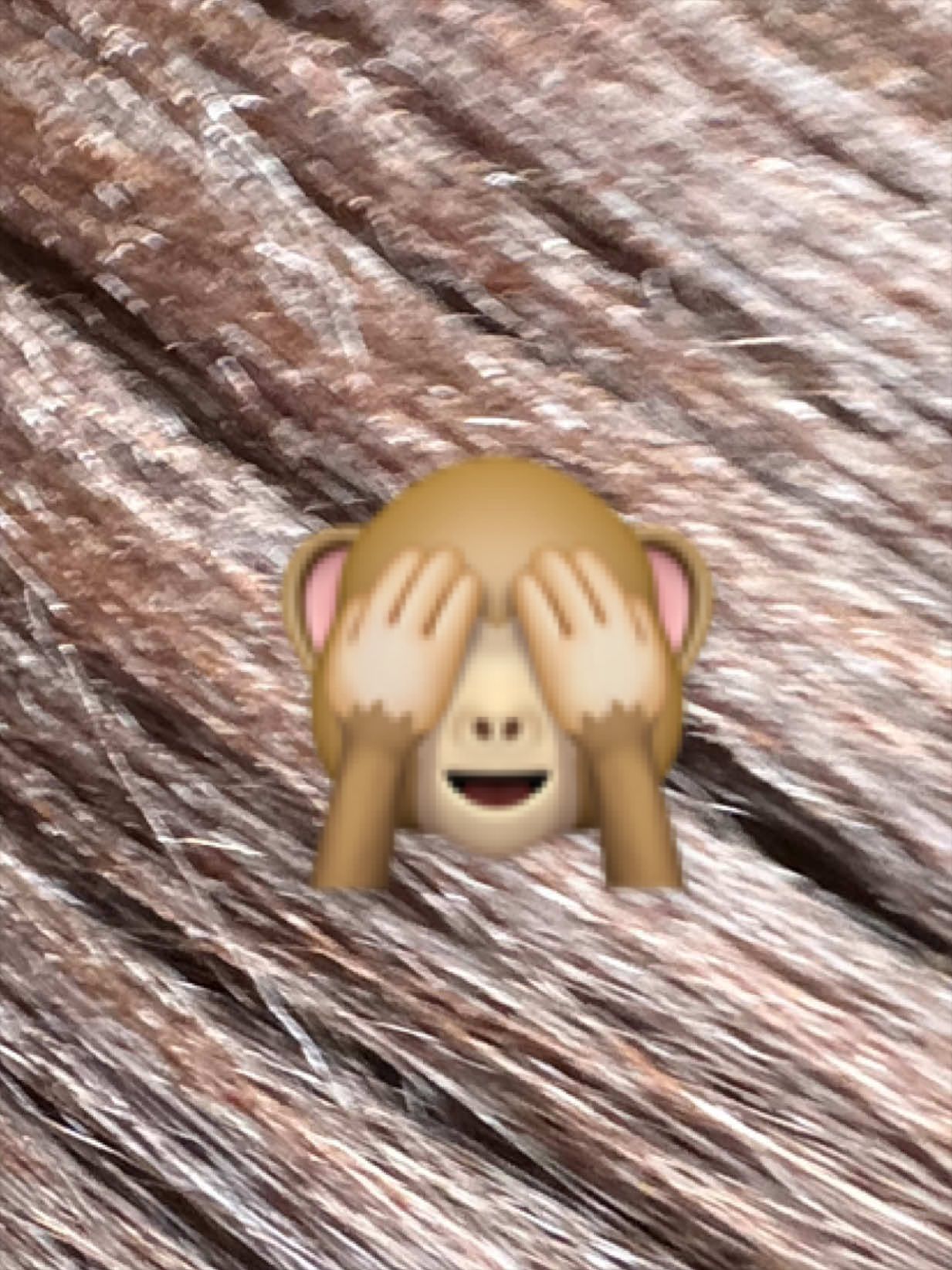@_laughsforlaughsc3