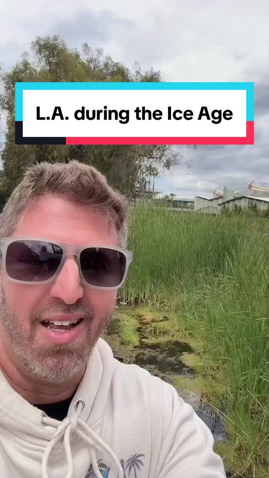 @L.A. in a Minute