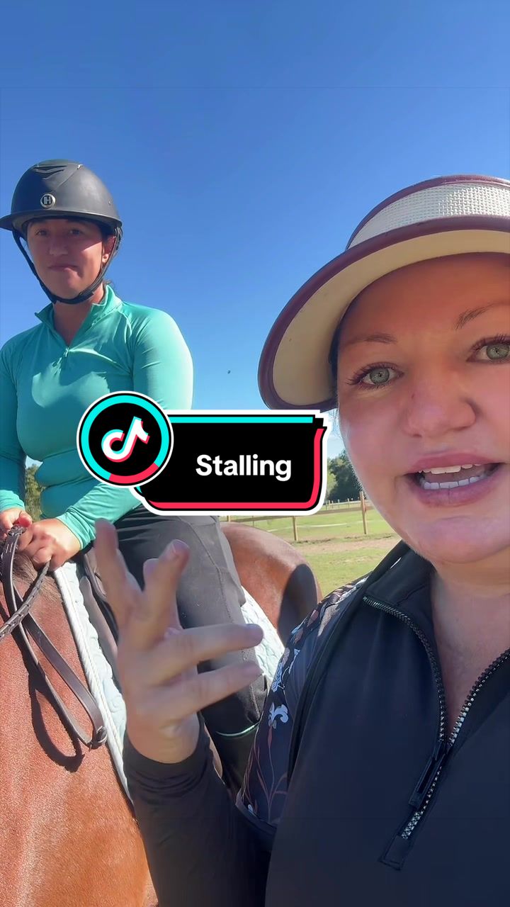 @MindsetEquestrian