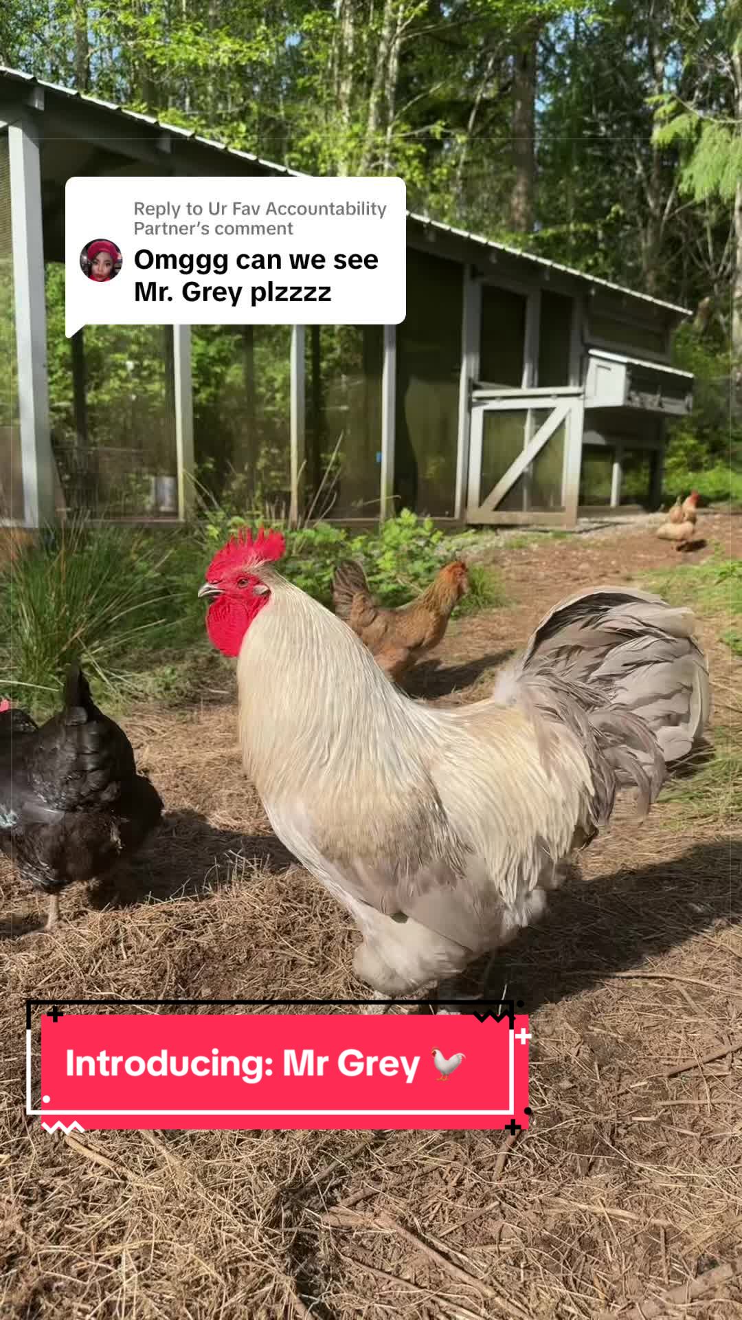 @Somethingsaboutstevie