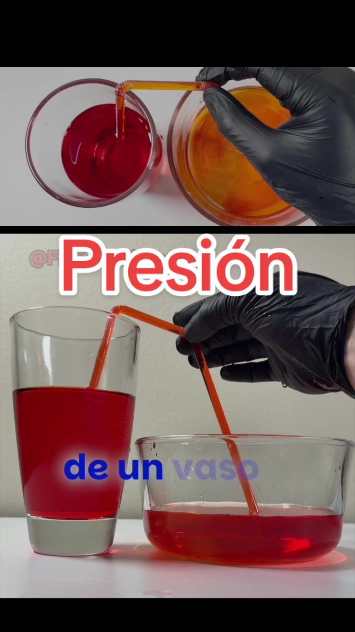 @FM Scientia - Espa&ntilde;ol
