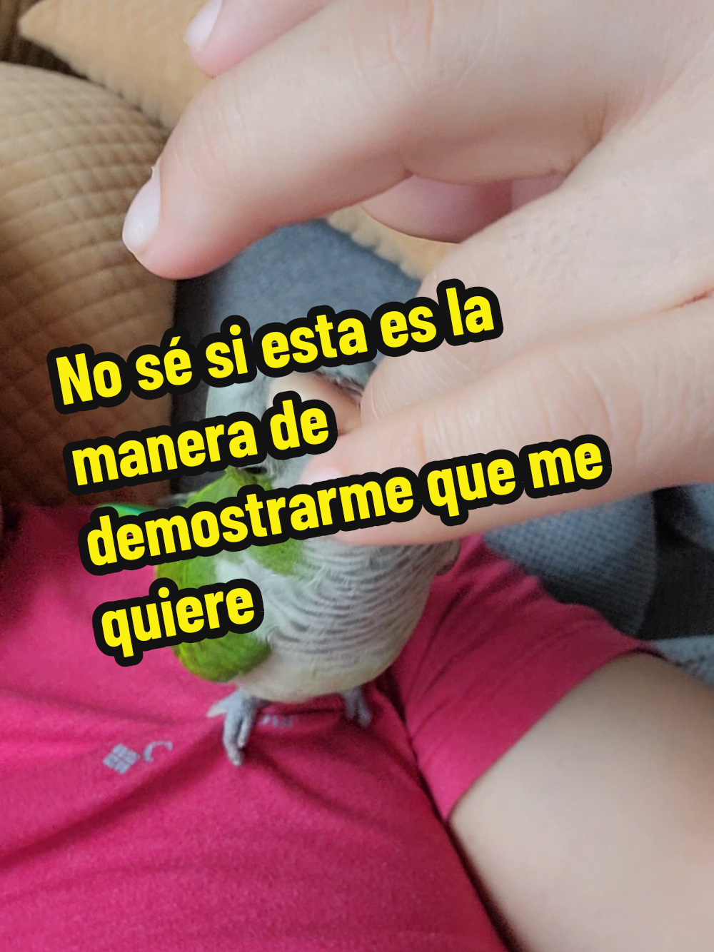 @Nico