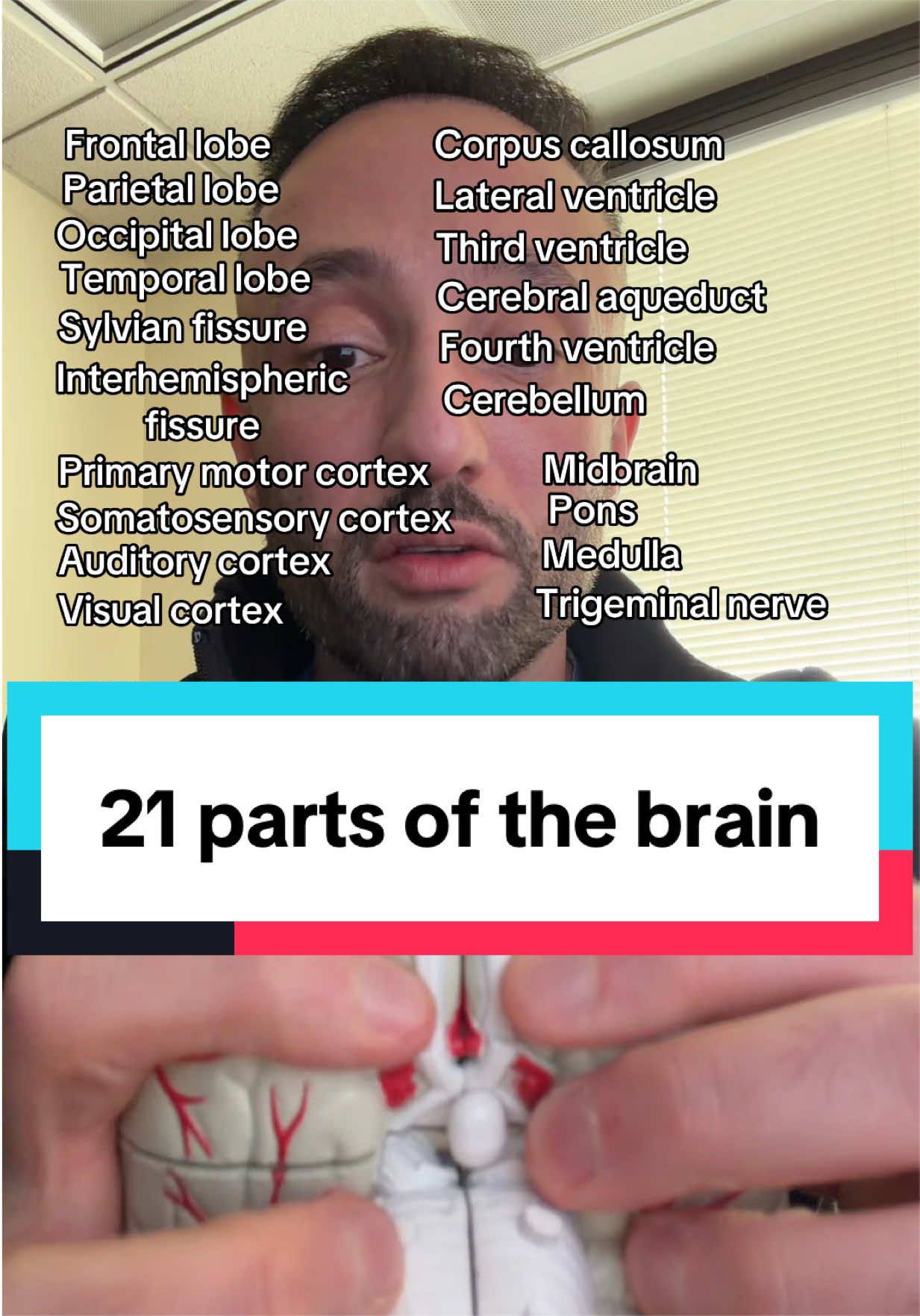 @Dr. Z 🧠 Neurosurgery