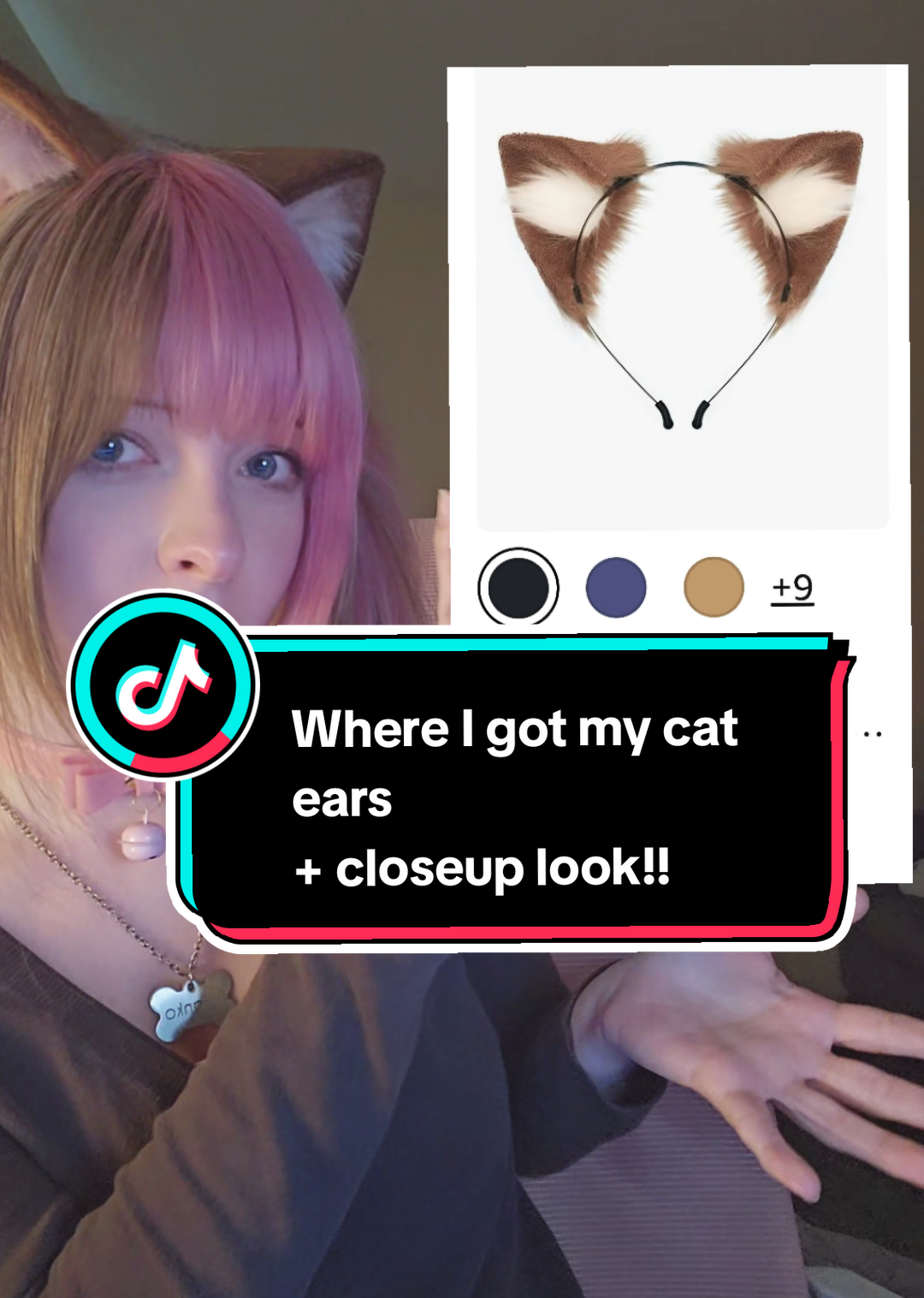 @nyanko🐾