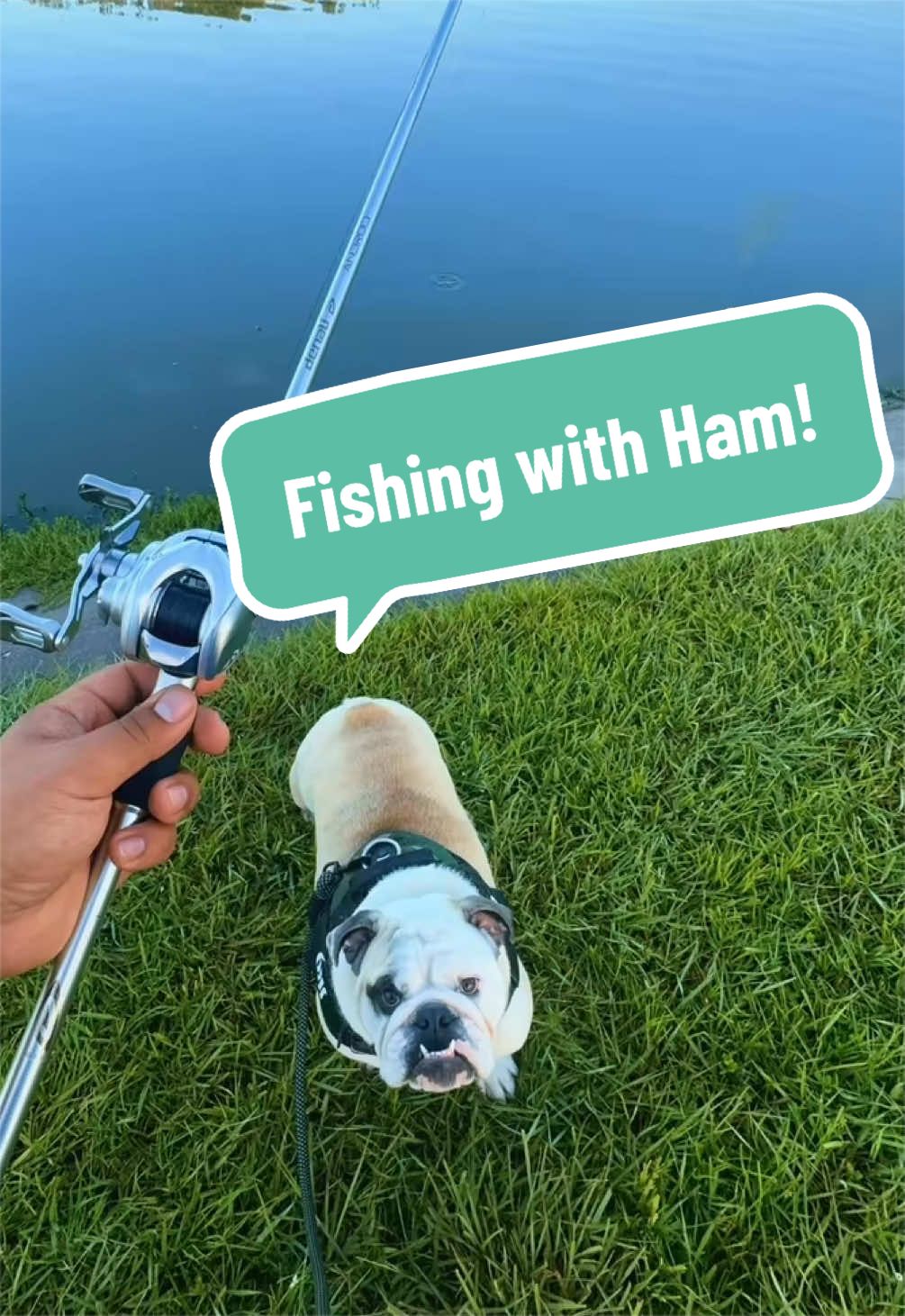 @BryanBeFishin