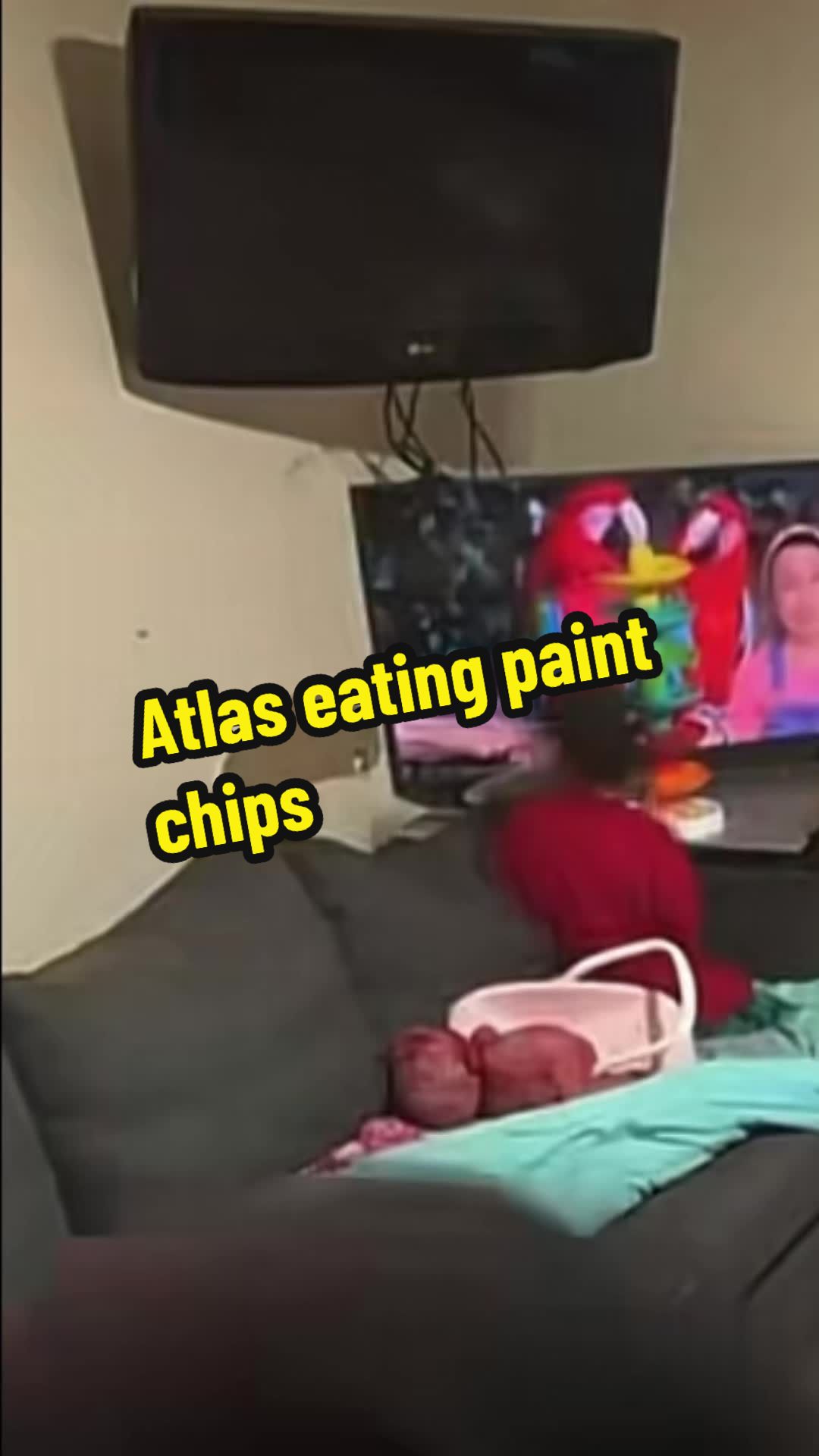 @Theresilientgrifters