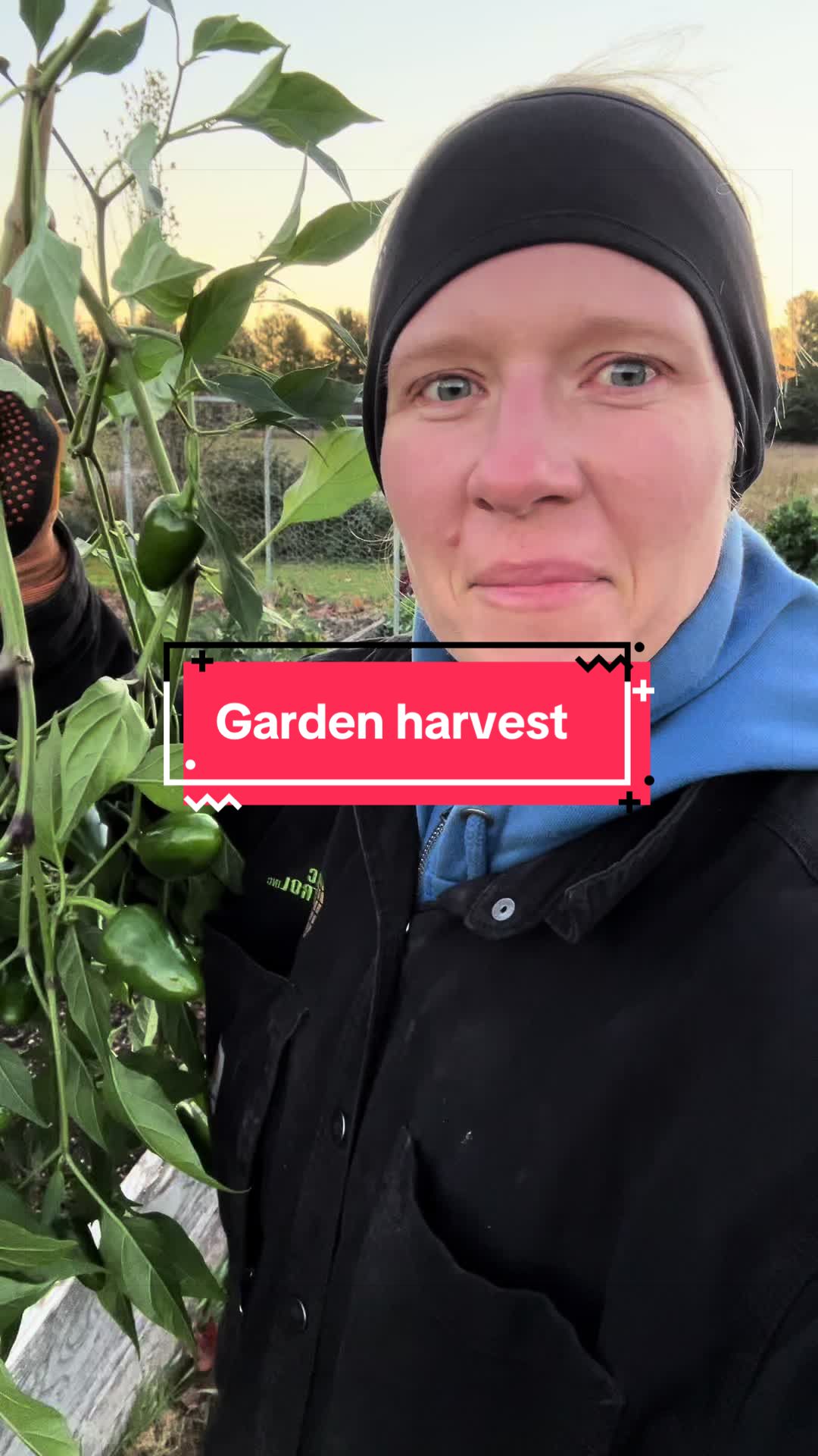 @littlesandycreekfarm