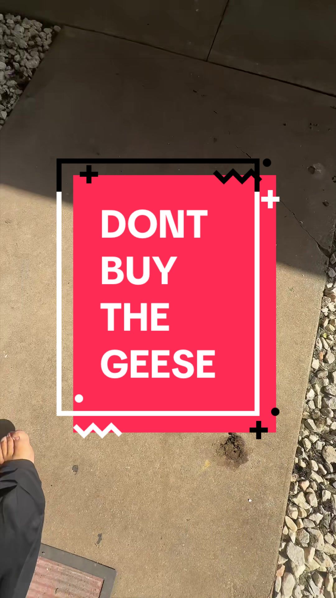 @Kelsey McManus